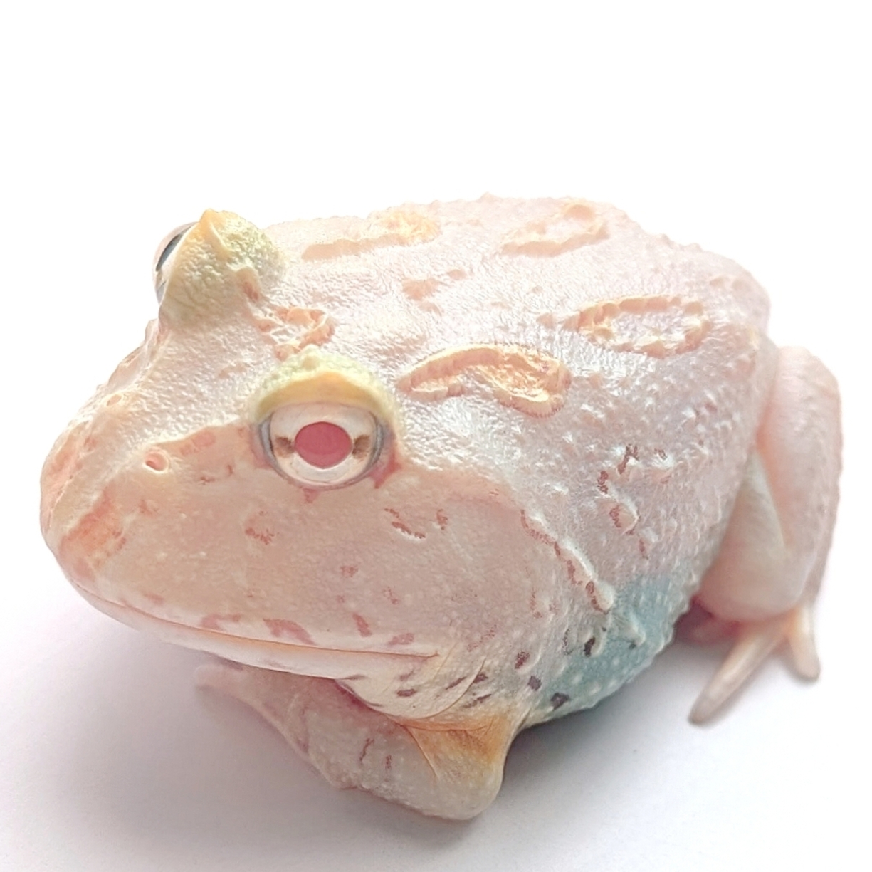 Bell へようこそ♪