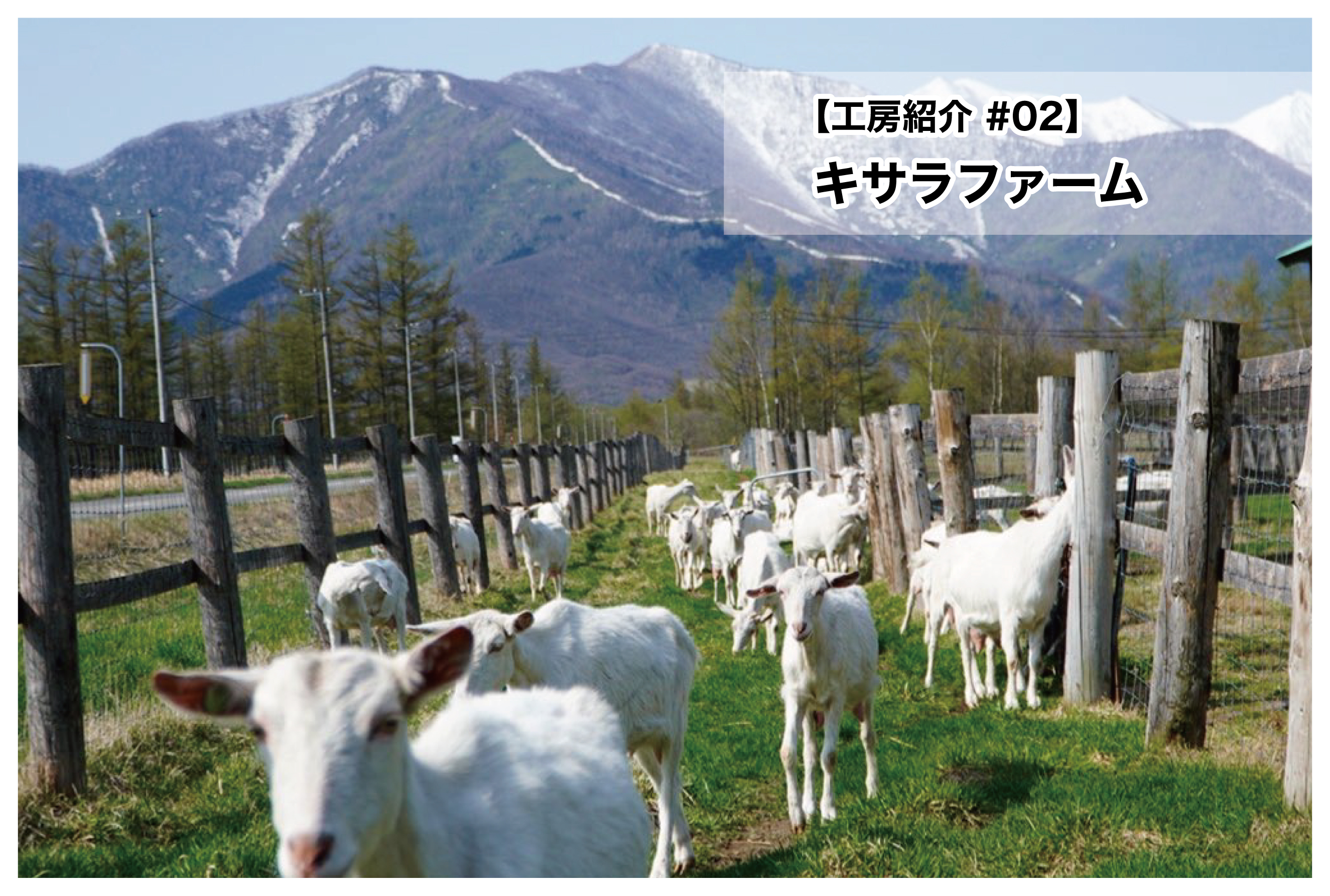 【工房紹介 02】キサラファーム