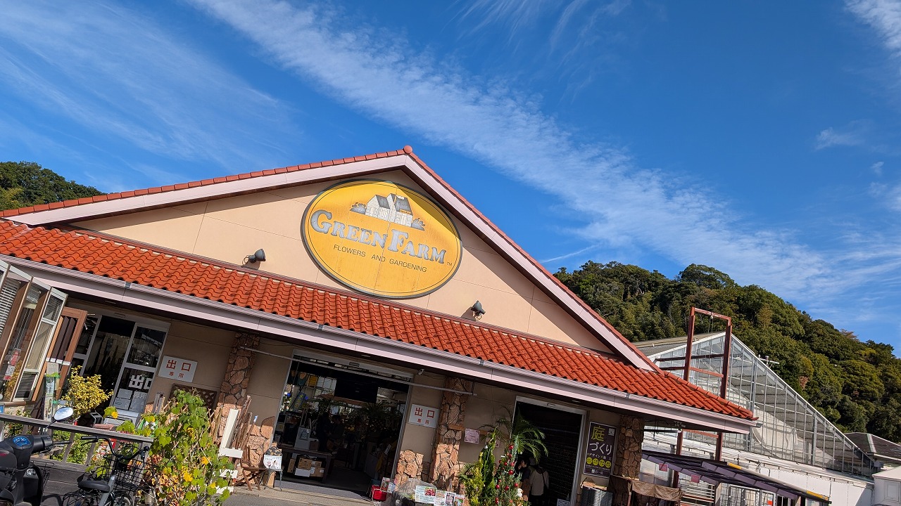 ✨近況のご報告：店舗販売とマルシェのご案内🍓