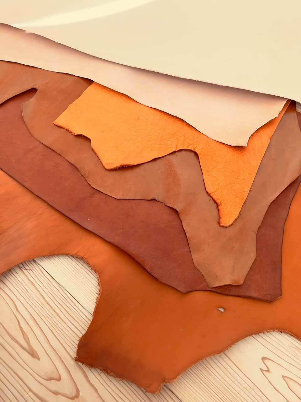 プラトニカシスタ、本オープンしました！