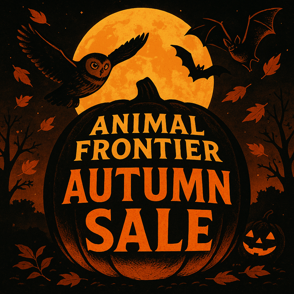 10/31まで全品15%OFFオータムセール開催中！