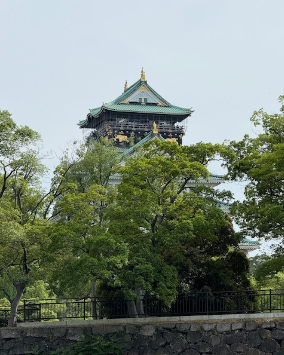 巽紙工は、大阪城のほど近くにあります。