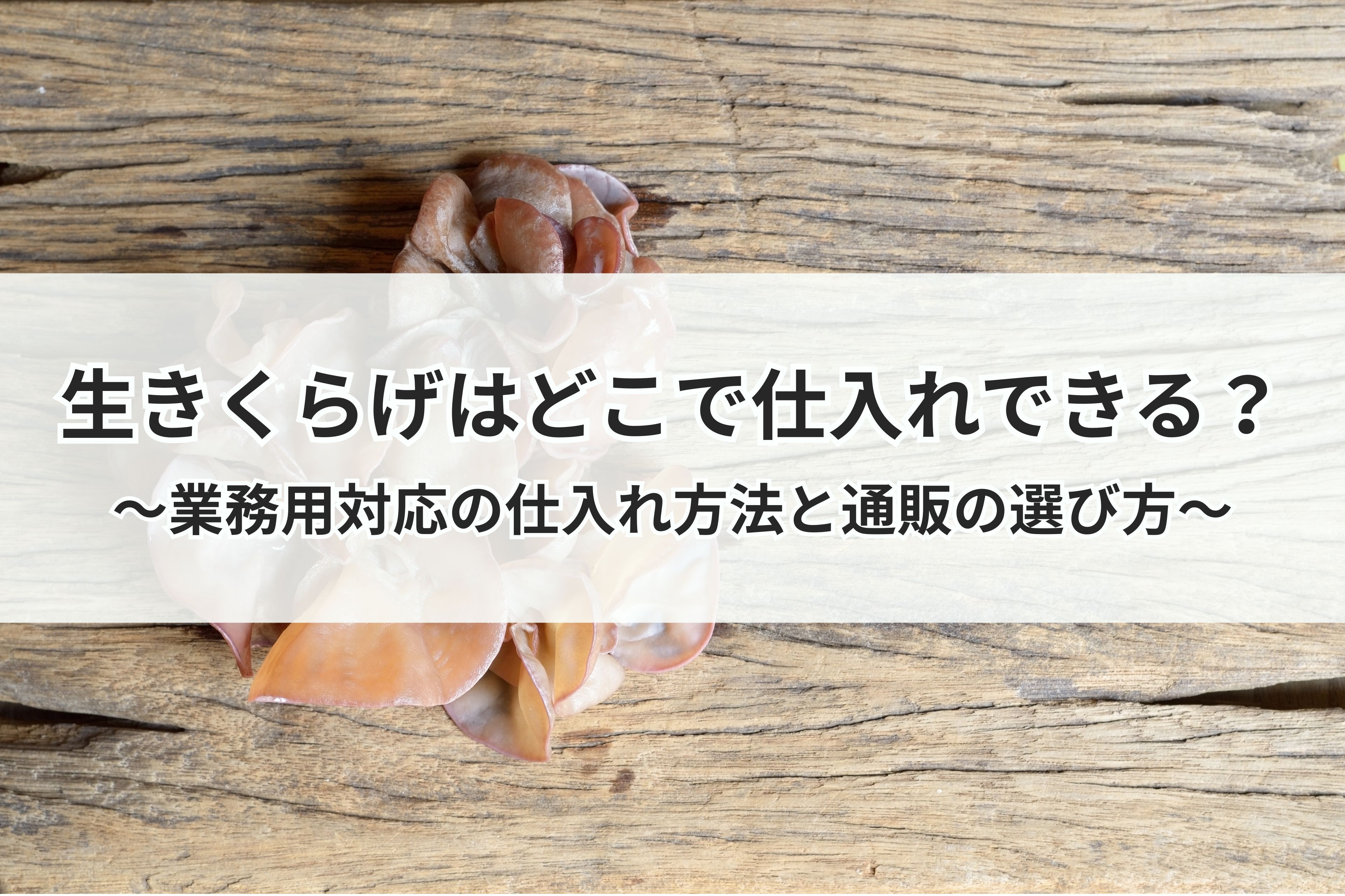 生きくらげはどこで仕入れできる？業務用対応の仕入れ方法と通販の選び方