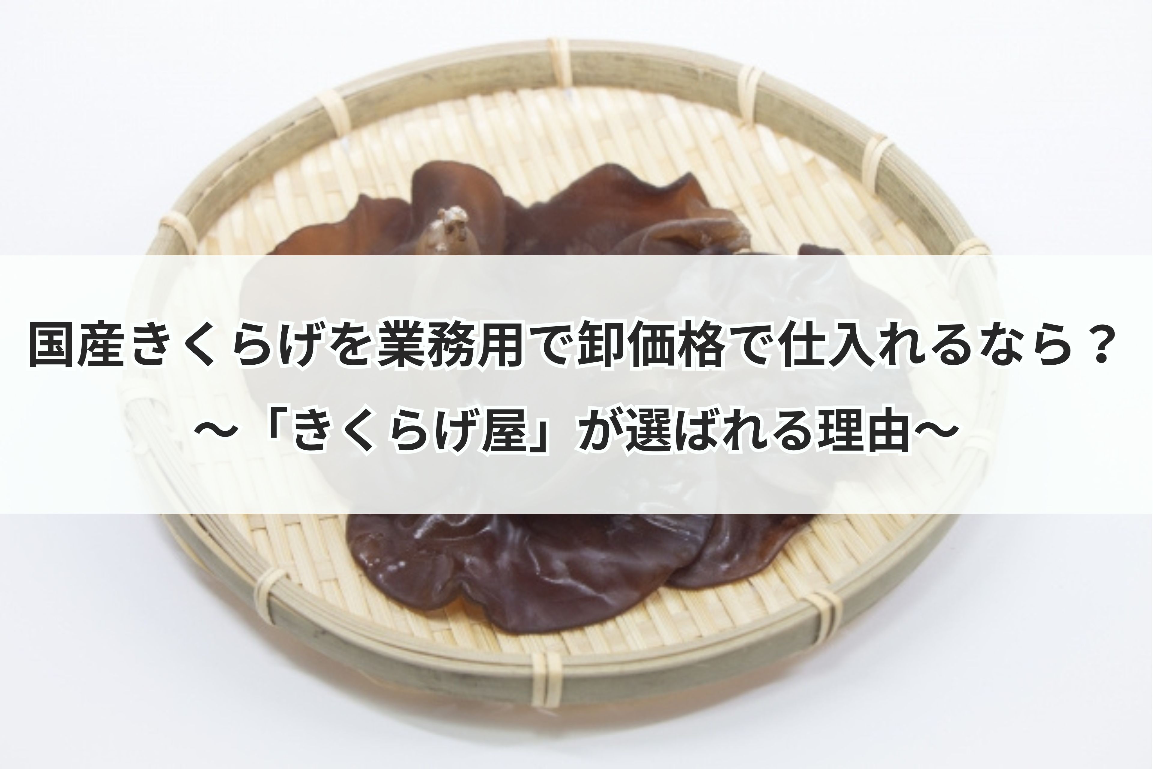 国産きくらげを業務用で卸価格で仕入れるなら？「きくらげ屋」が選ばれる理由