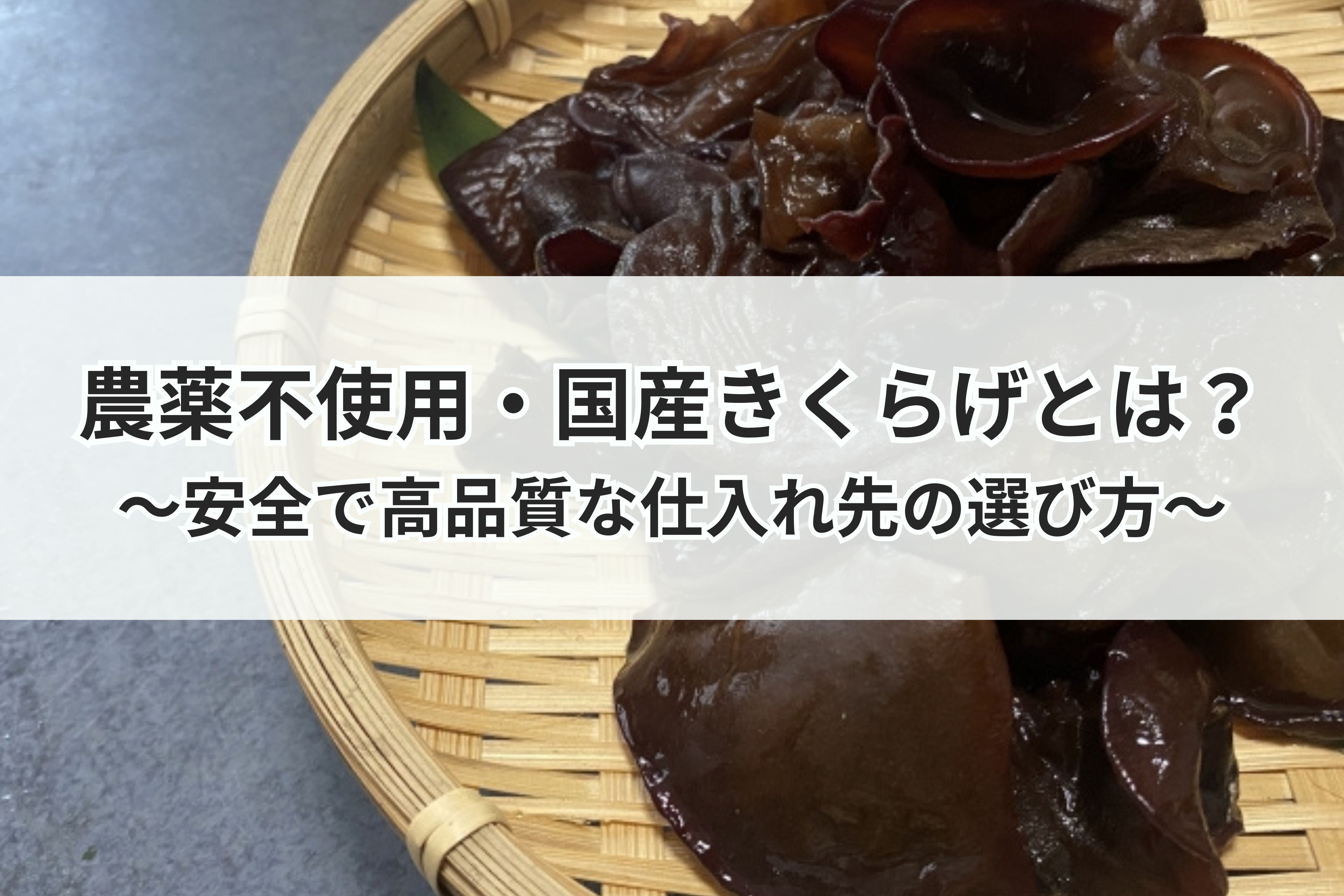 農薬不使用・国産きくらげとは？安全で高品質な仕入れ先の選び方