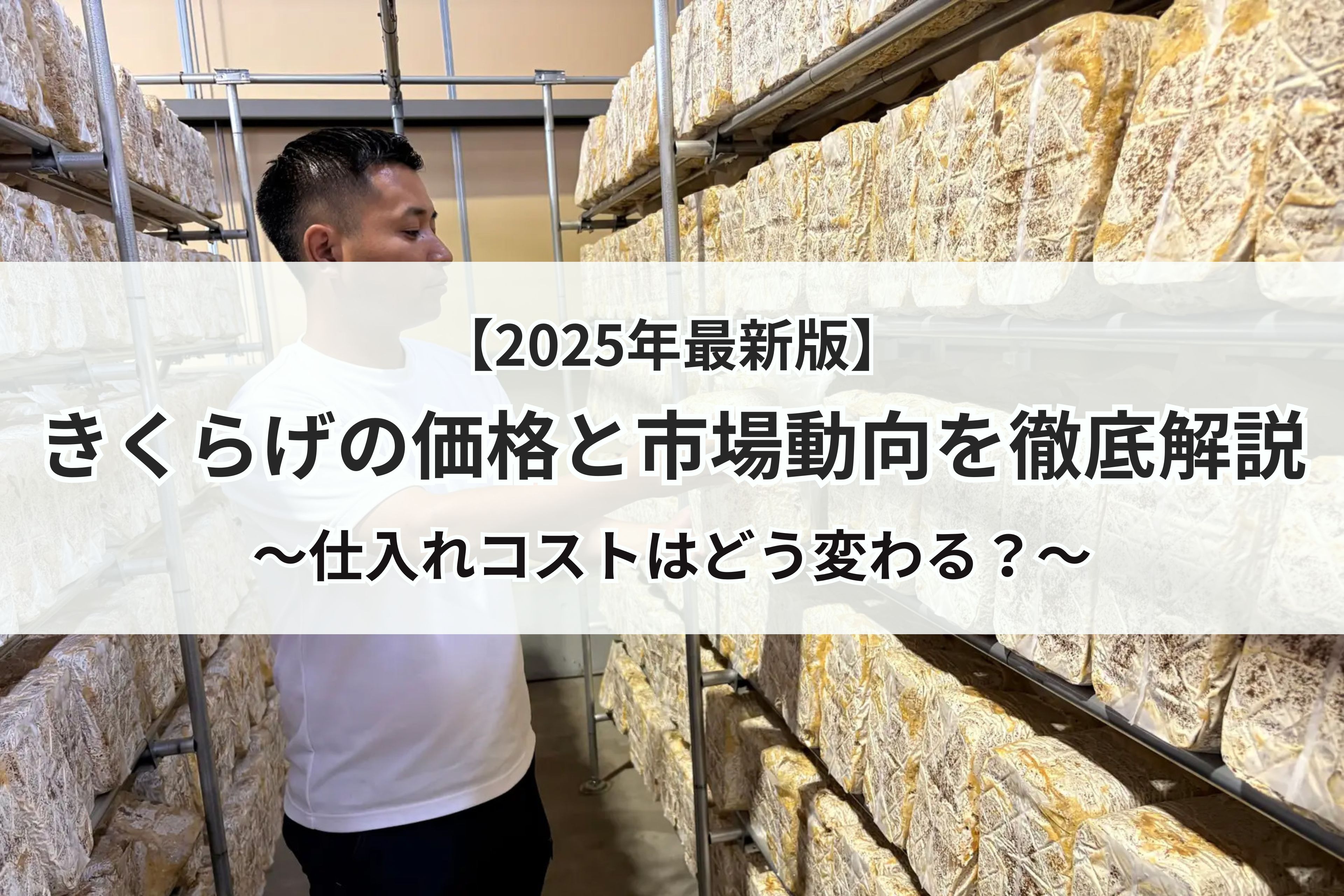 【2025年最新版】きくらげの価格と市場動向を徹底解説｜仕入れコストはどう変わる？