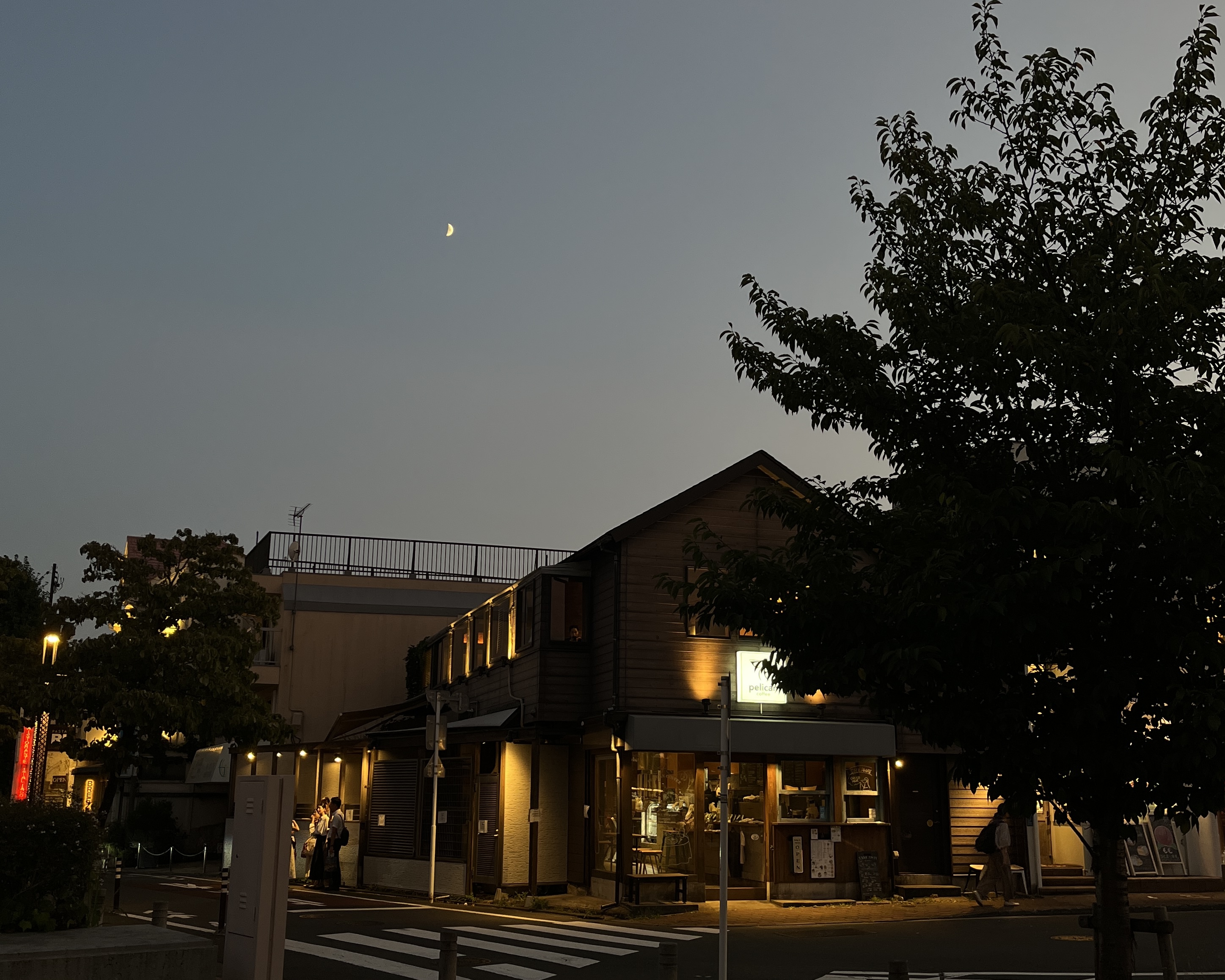 PELICAN COFFEE × NAOYUKI WATANABE 新作と一部展示中