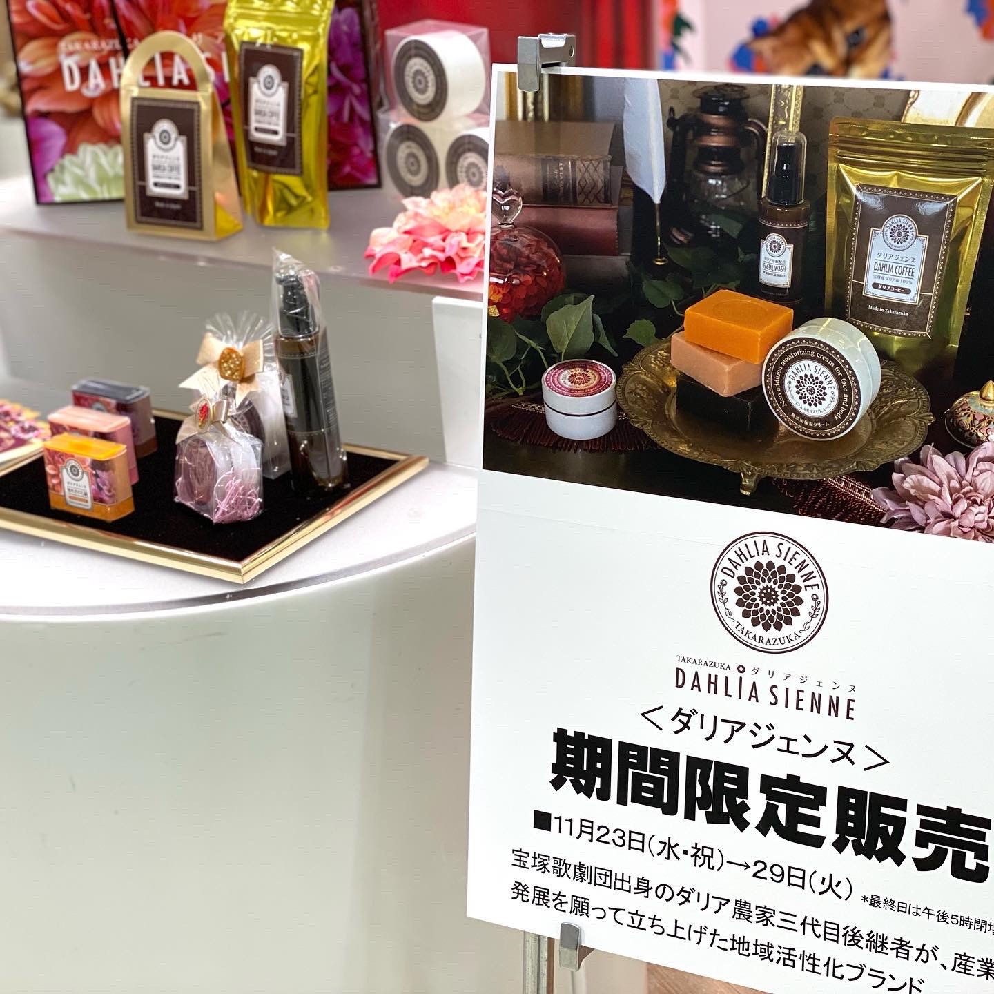 愛媛いよてつ高島屋【POP UP】