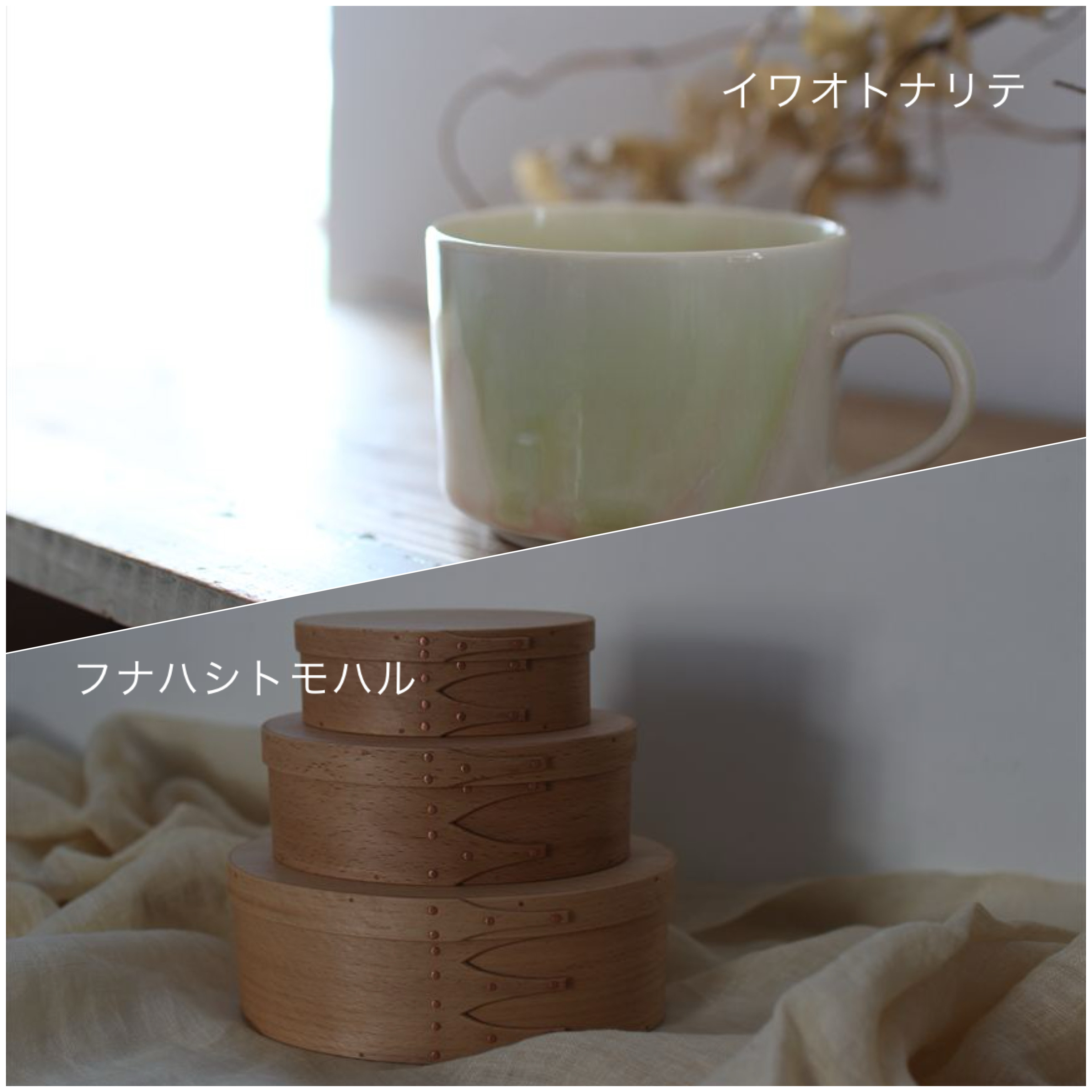 フナハシトモハル　イワオトナリテ　展