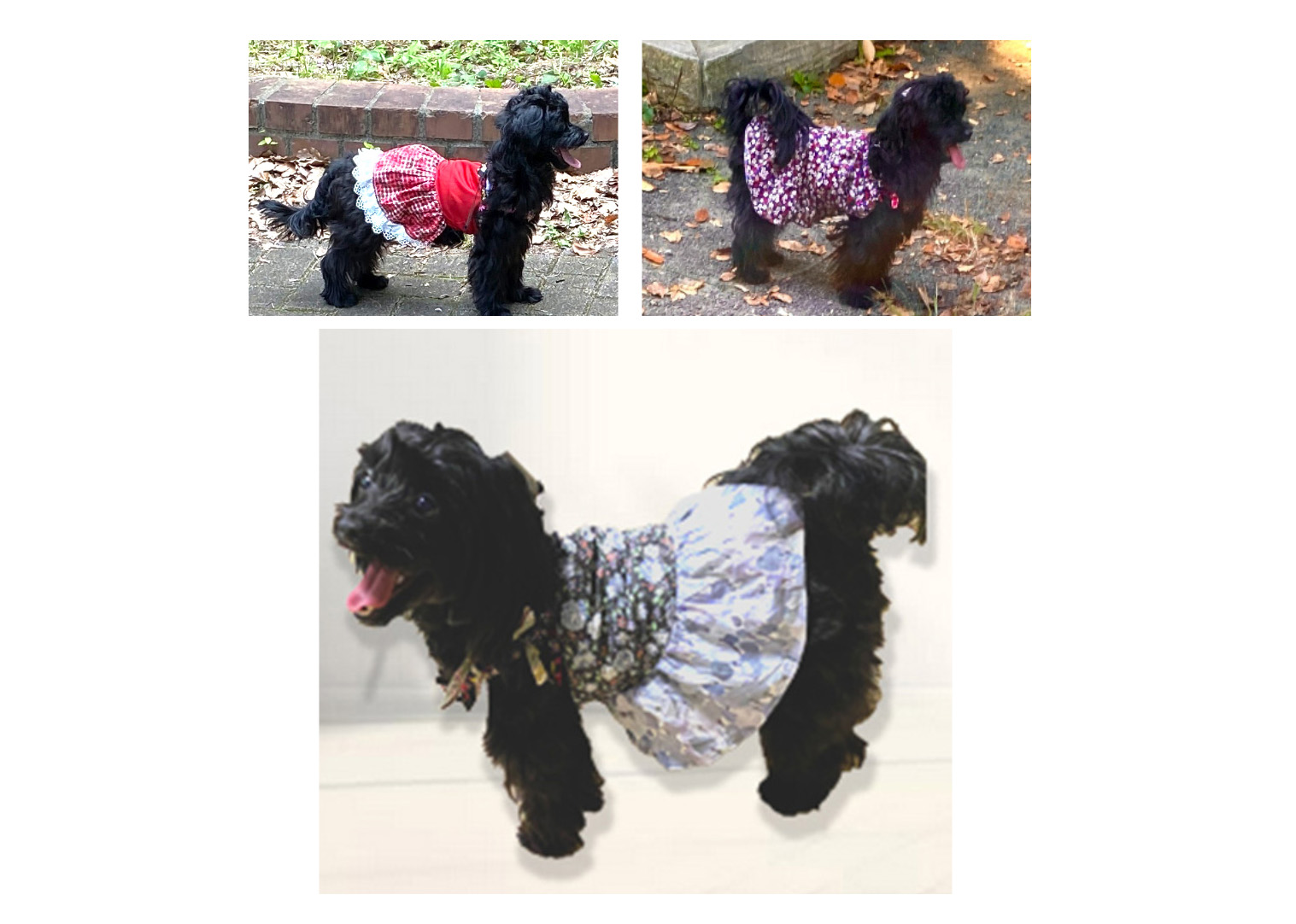 犬服のお洋服のご注文、受付けています