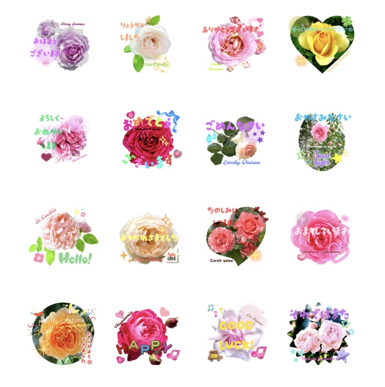 お店で咲いた薔薇で作ったLINEスタンプ販売しています！