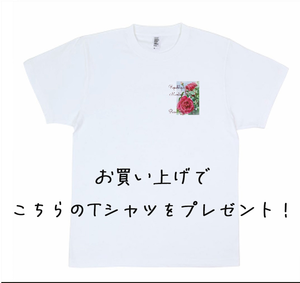 オンラインショップリニューアルオープンしました
