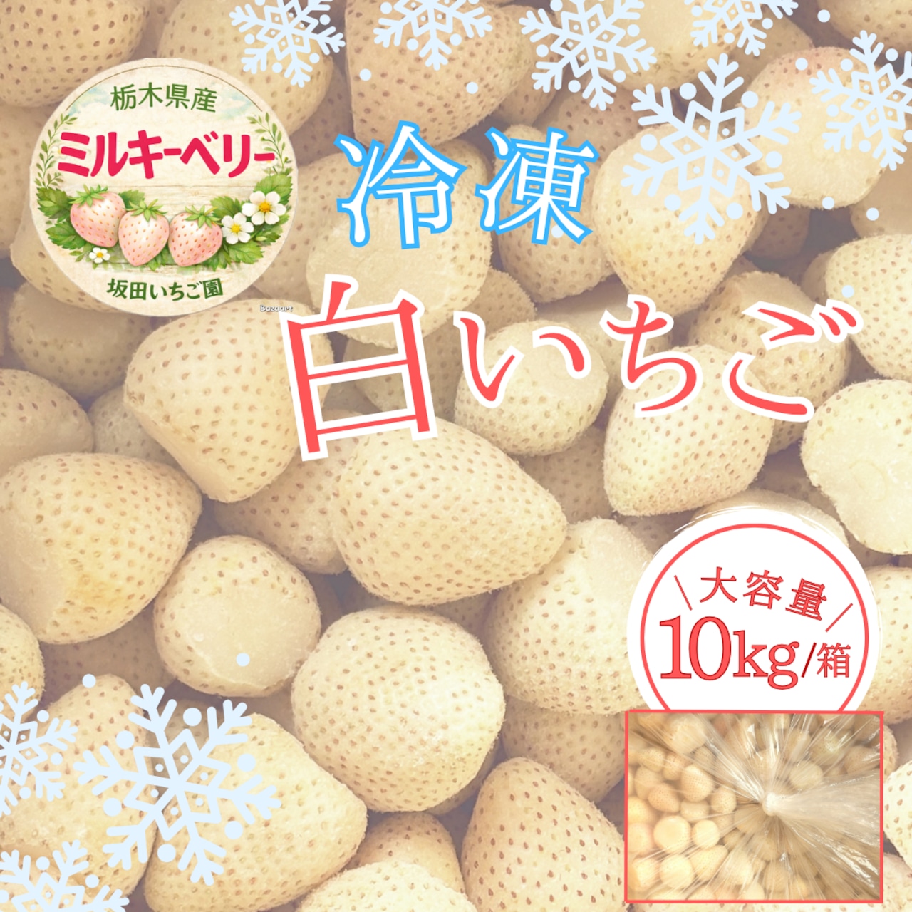 《完売御礼》「冷凍苺　ミルキーベリー　1箱10kg」