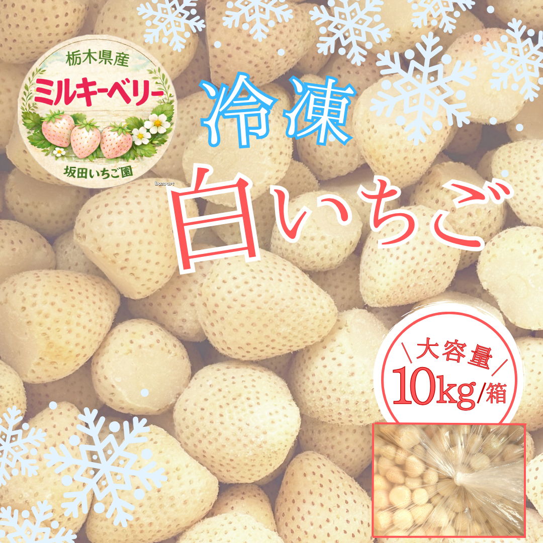 新発売 「冷凍苺 ミルキーベリー 1箱10kg」