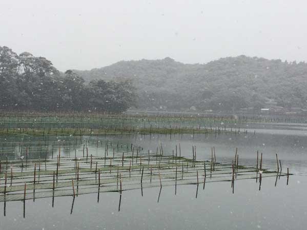 伊勢志摩の雪の日