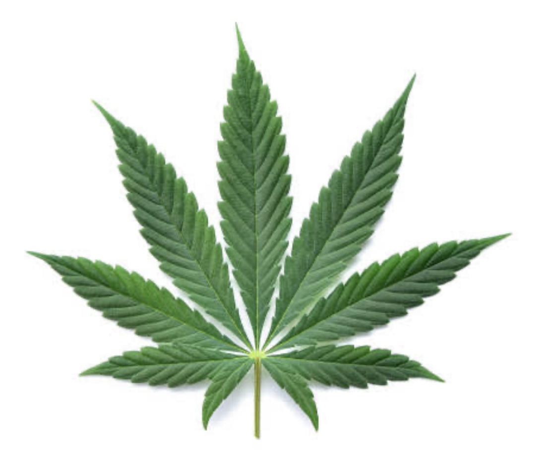 💐ミッション💐