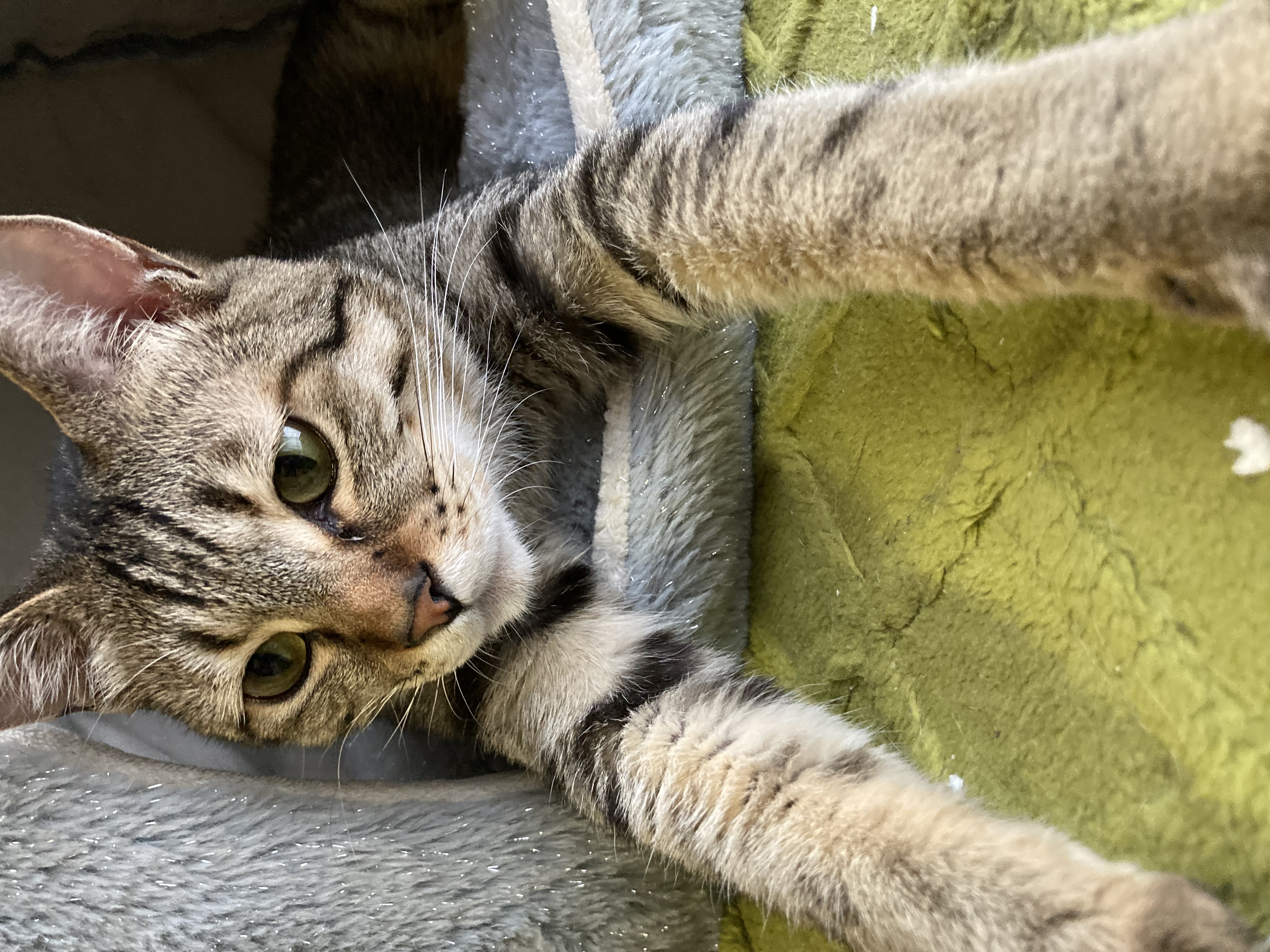 制作中のハプニング｜vol.4