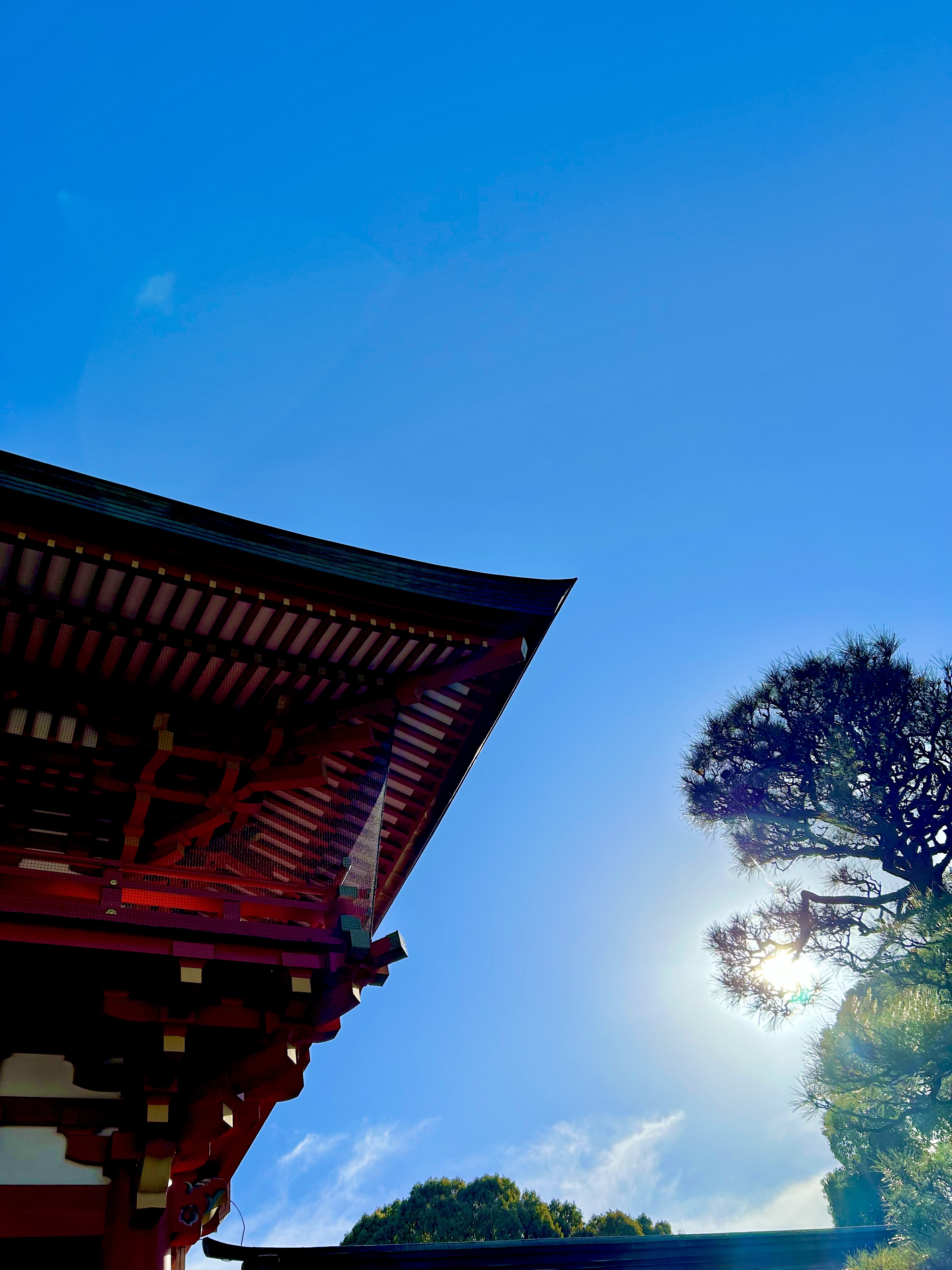 初春展に向けて|vol.7