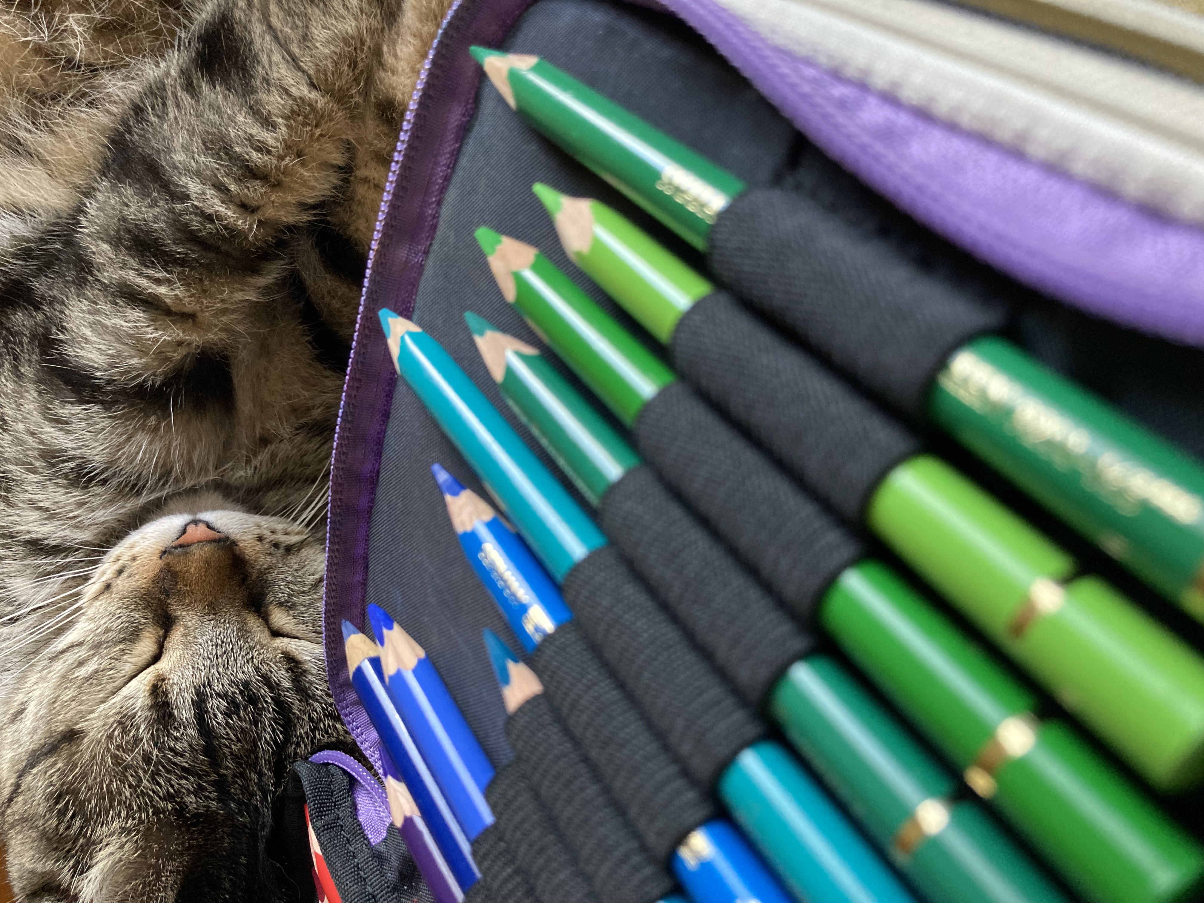 アムロと一緒に描く、わたしの作品づくりのこと｜vol.1