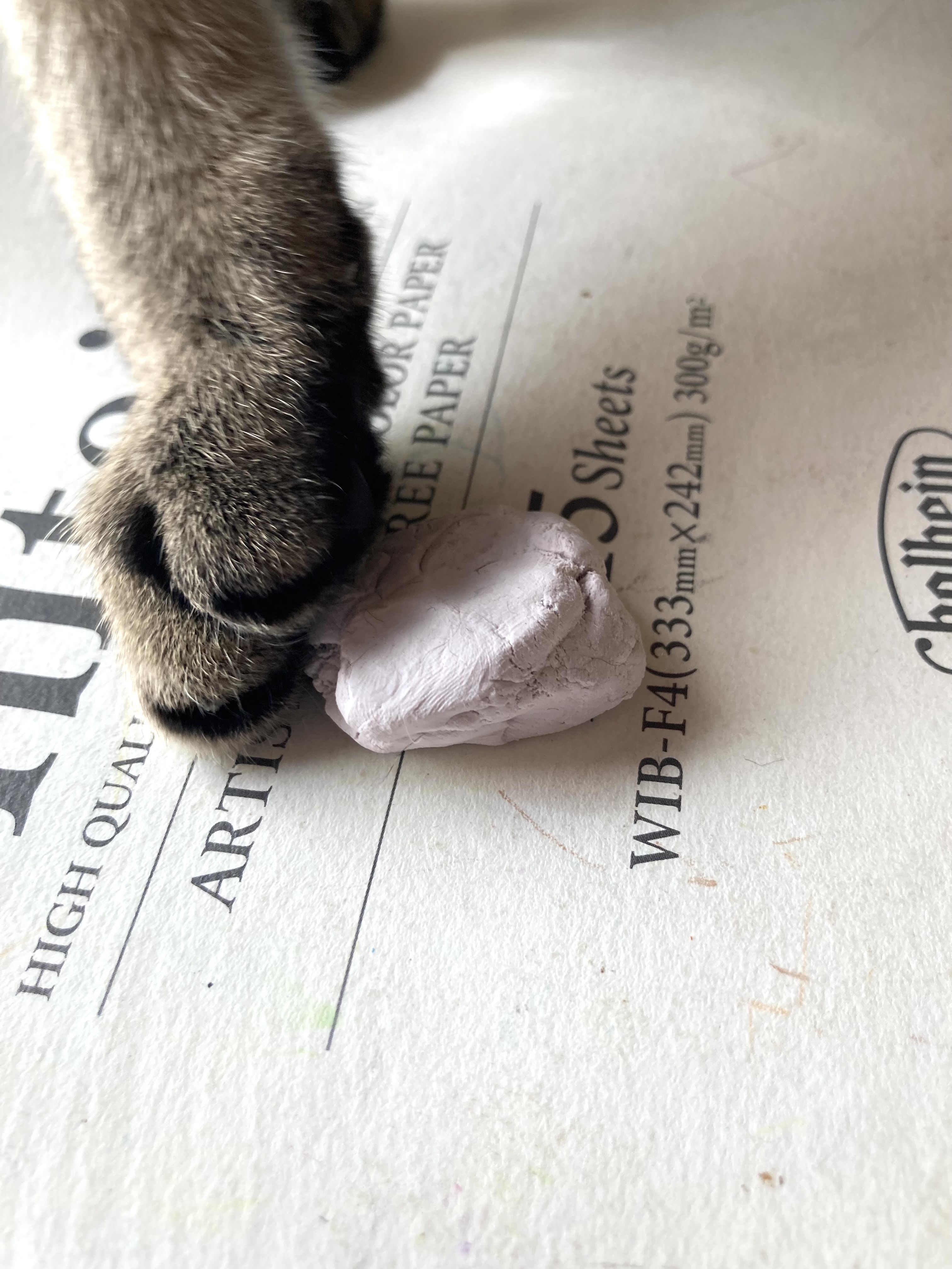 色鉛筆で描くワンちゃん作品、制作中です｜vol.2