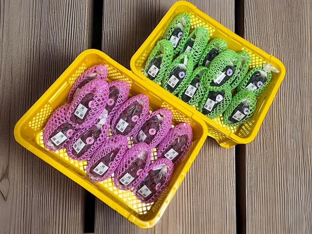 地元・福知山にて店頭販売が始まりました。