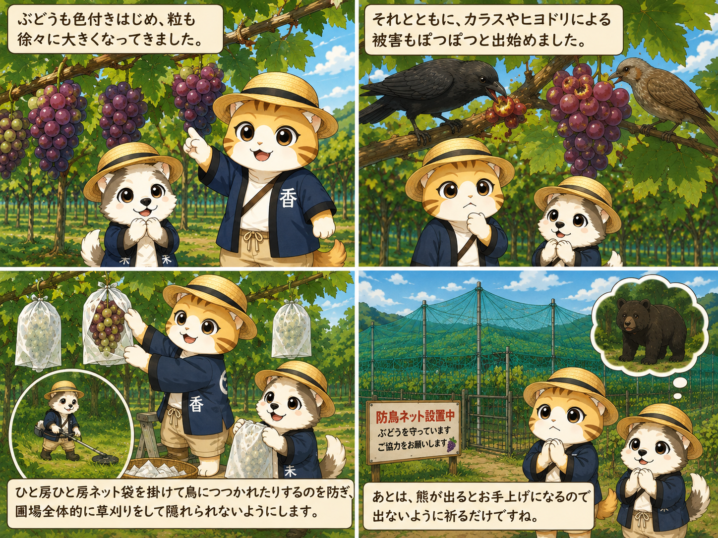 🍇 色づくぶどうを守る、新たな戦いが始まりました