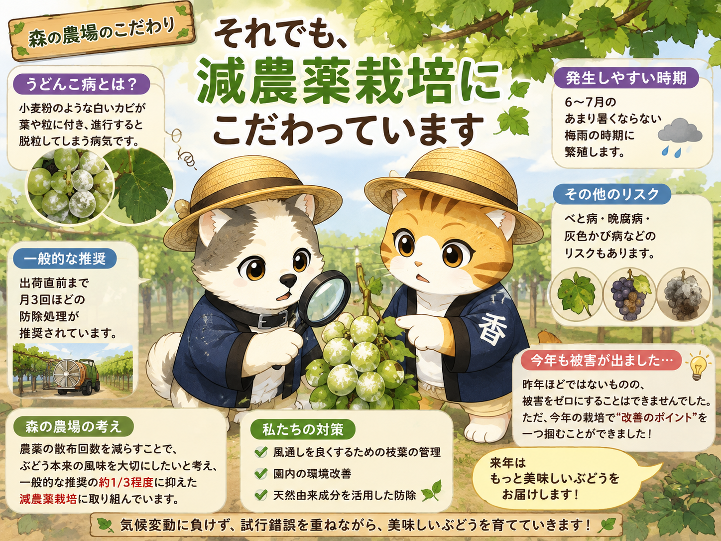 それでも、森の農場が減農薬栽培にこだわる理由