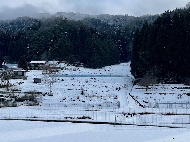 溶けませんねぇ…