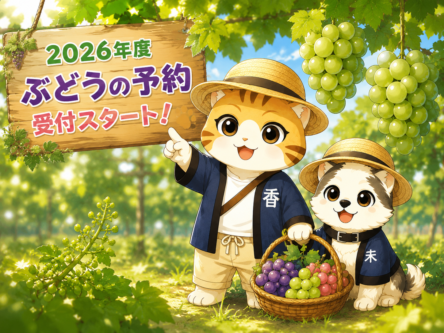 7月1日より2026年度産ぶどうの予約受付を開始します。