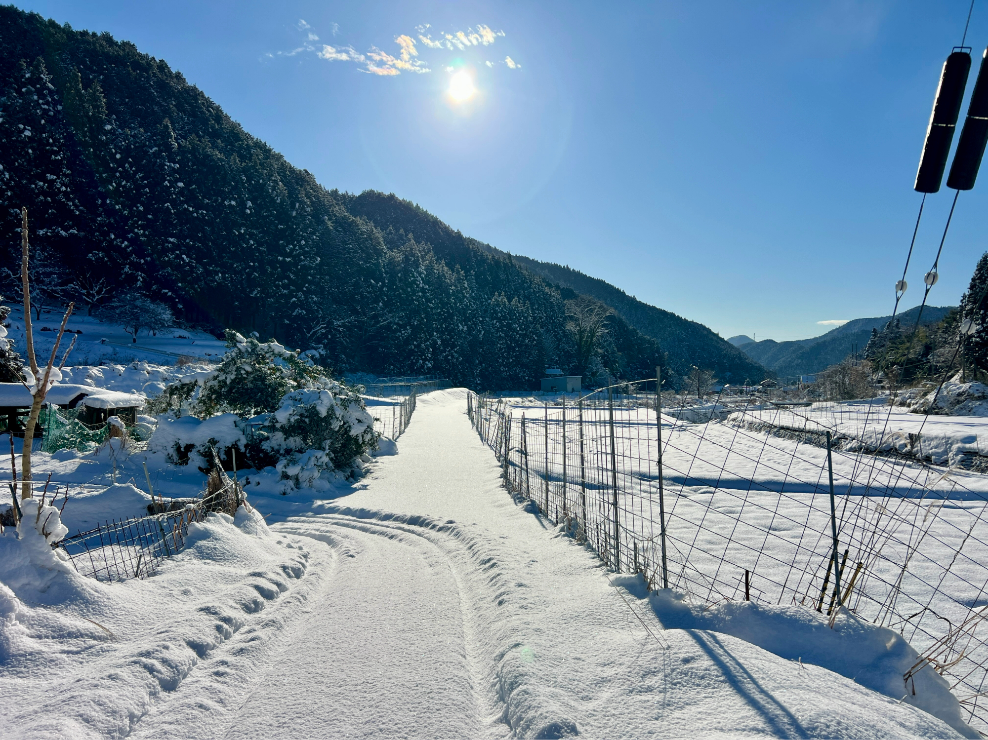 積雪のため、しばらく圃場作業はお休みです