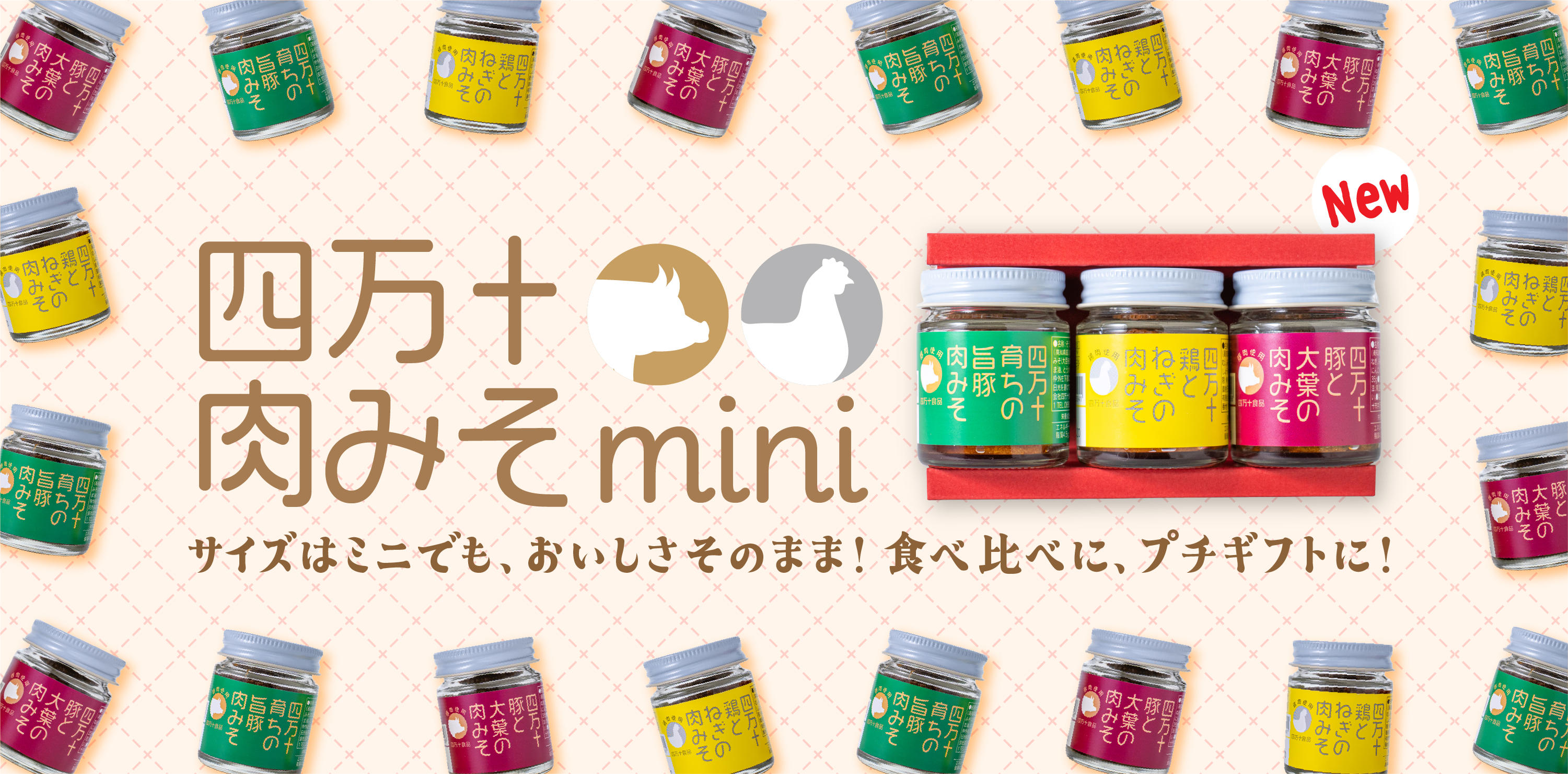 本日発売！四万十肉みそのミニボトル＆ギフトセットが新登場✨