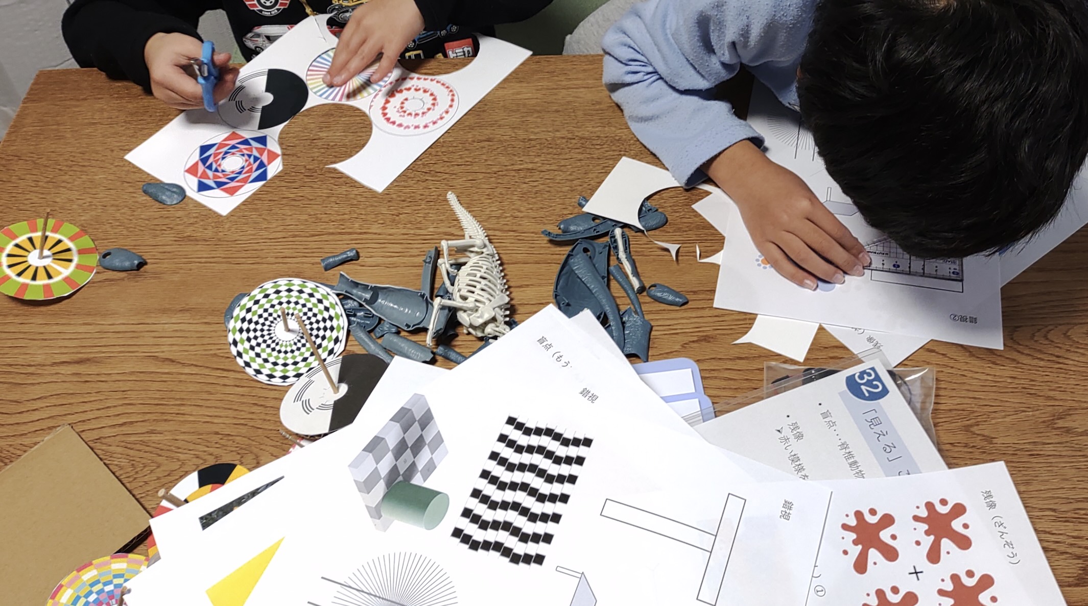 何が見えているかは、分からない