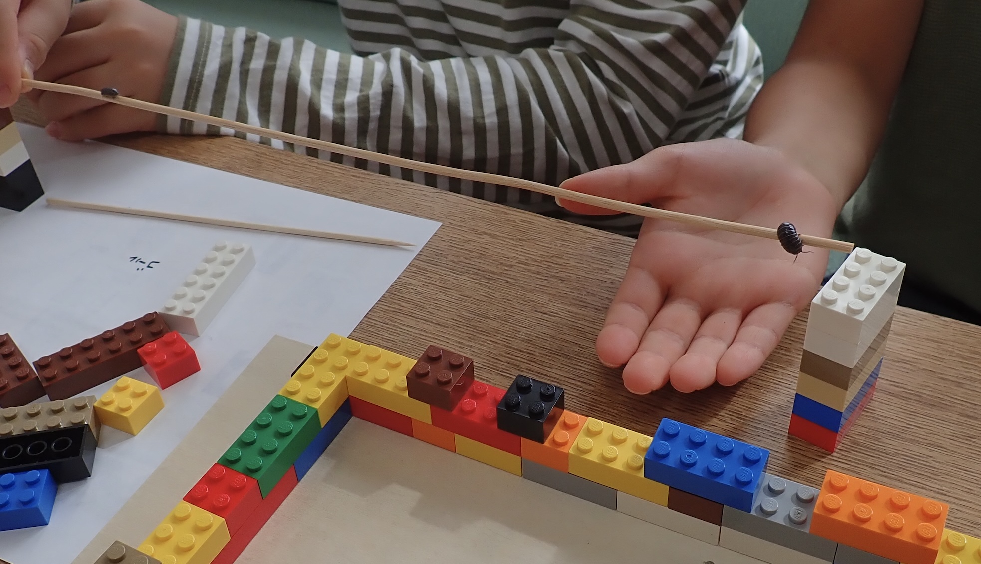 ダンゴムシ「小さないのち」の授業