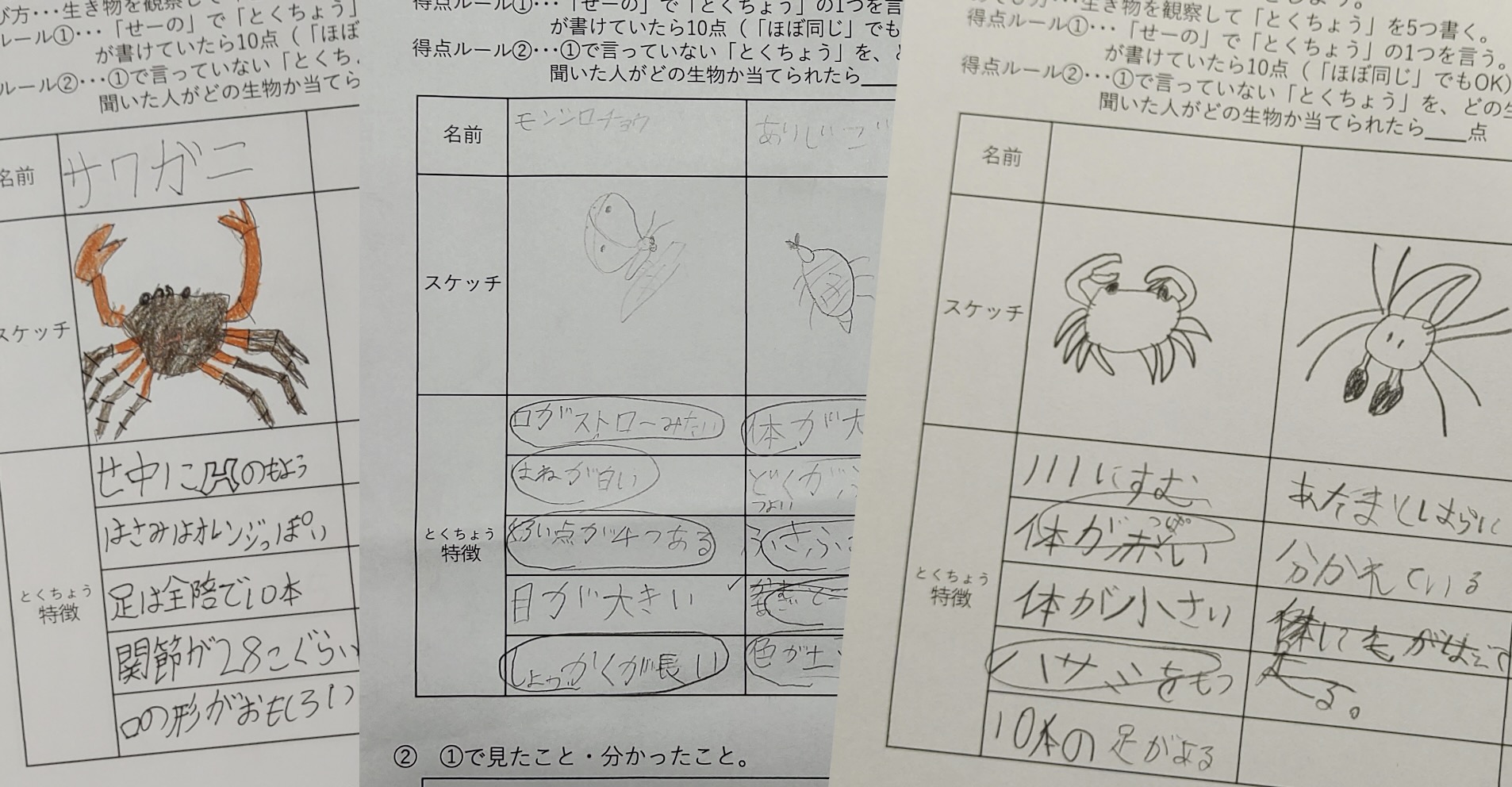 「せーの」で叫ぼう!生き物の特徴