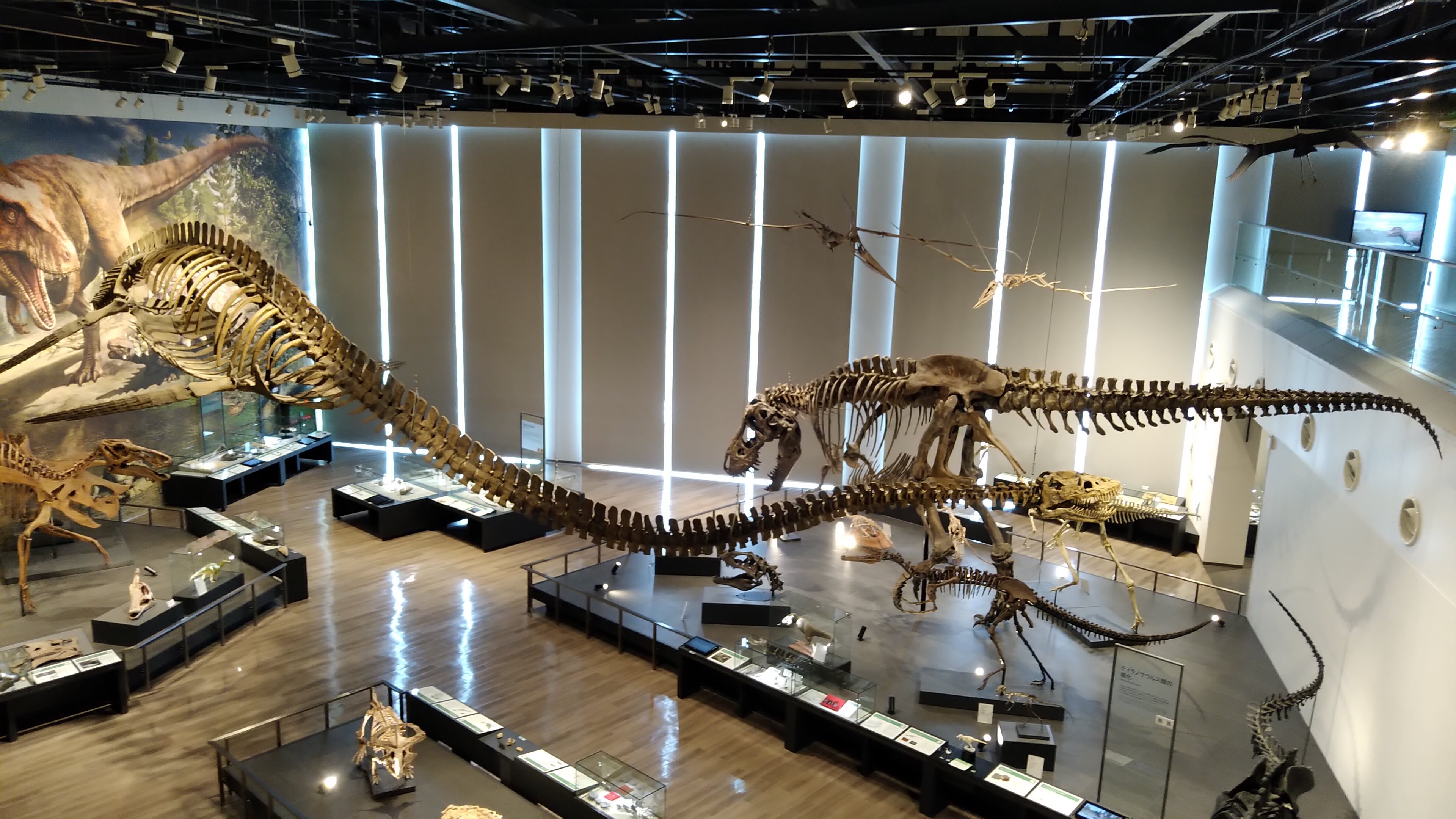 恐竜博物館で「宝探し」