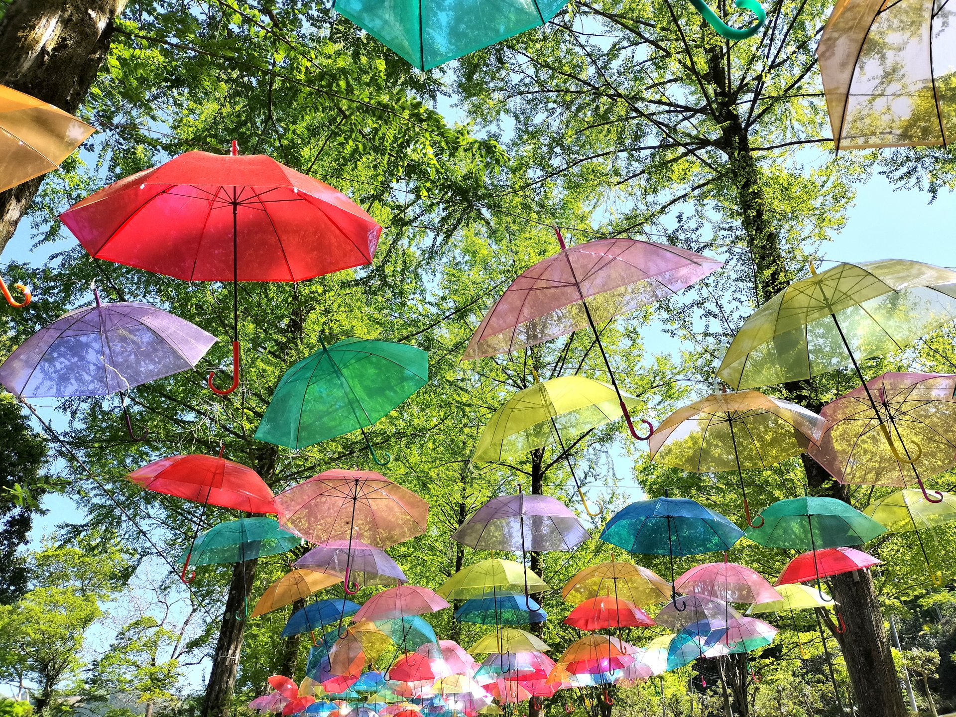 心のままに、色をたのしむ