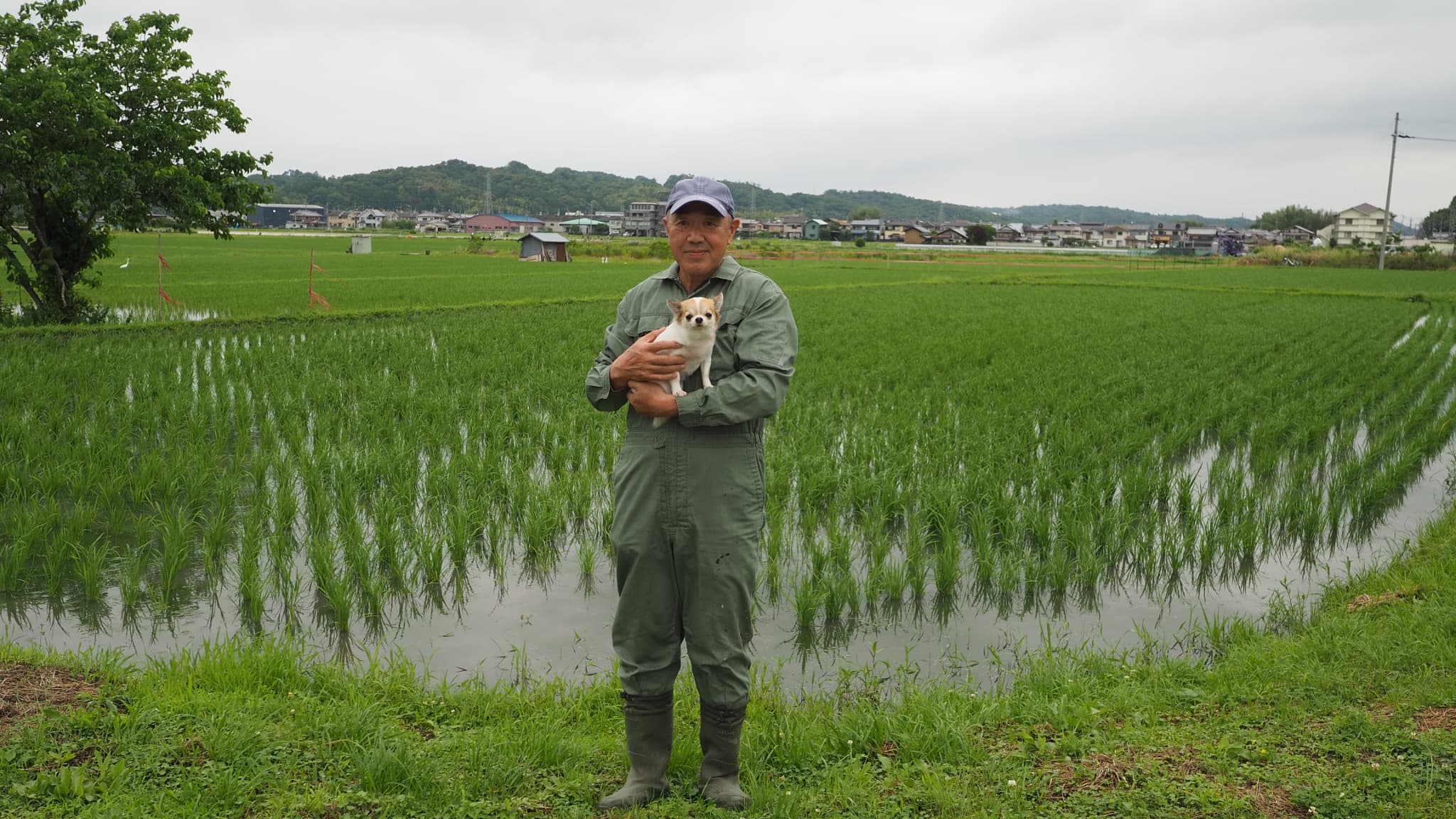 店主からご挨拶