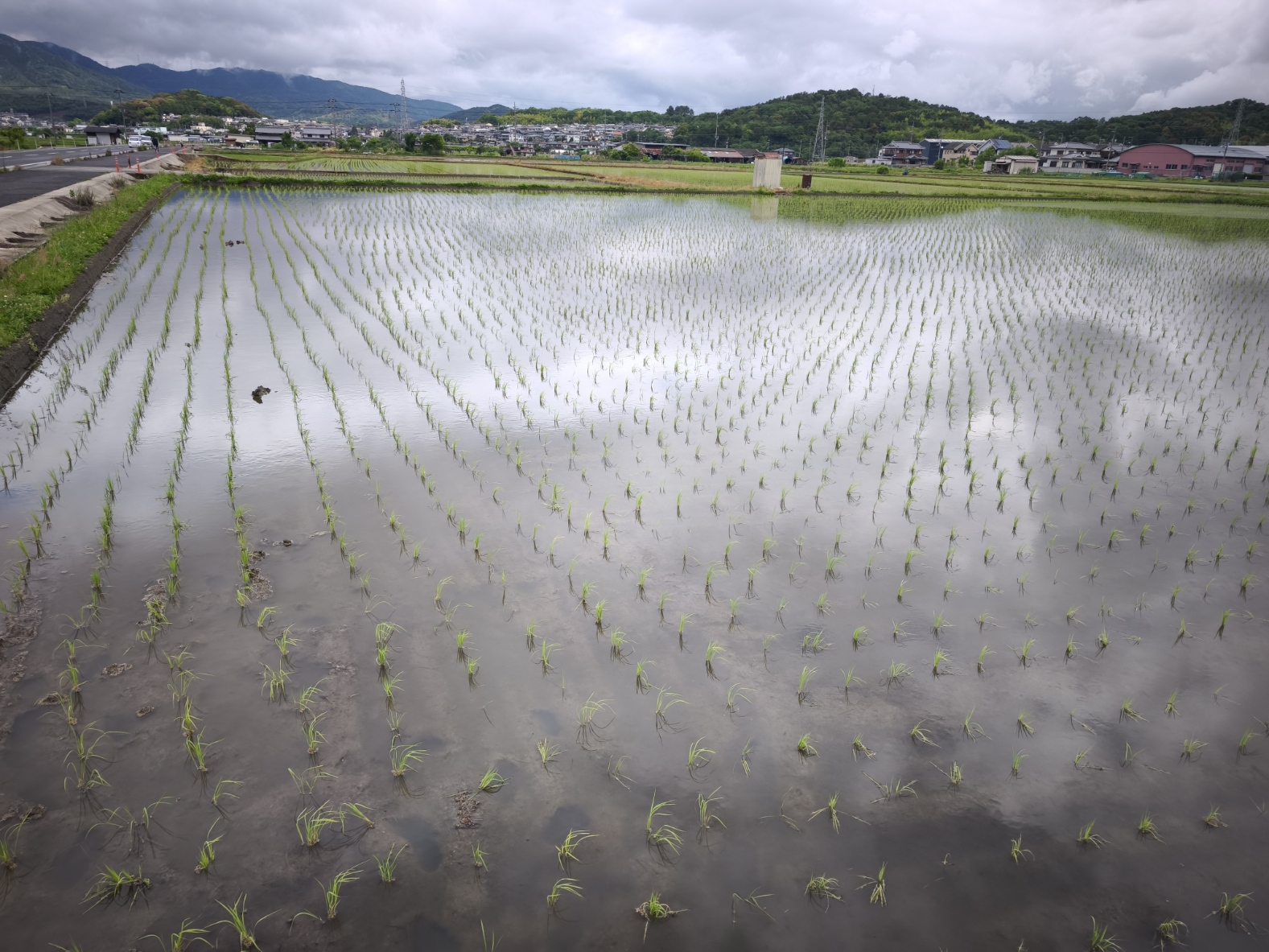 令和8年産米田植え開始しました!