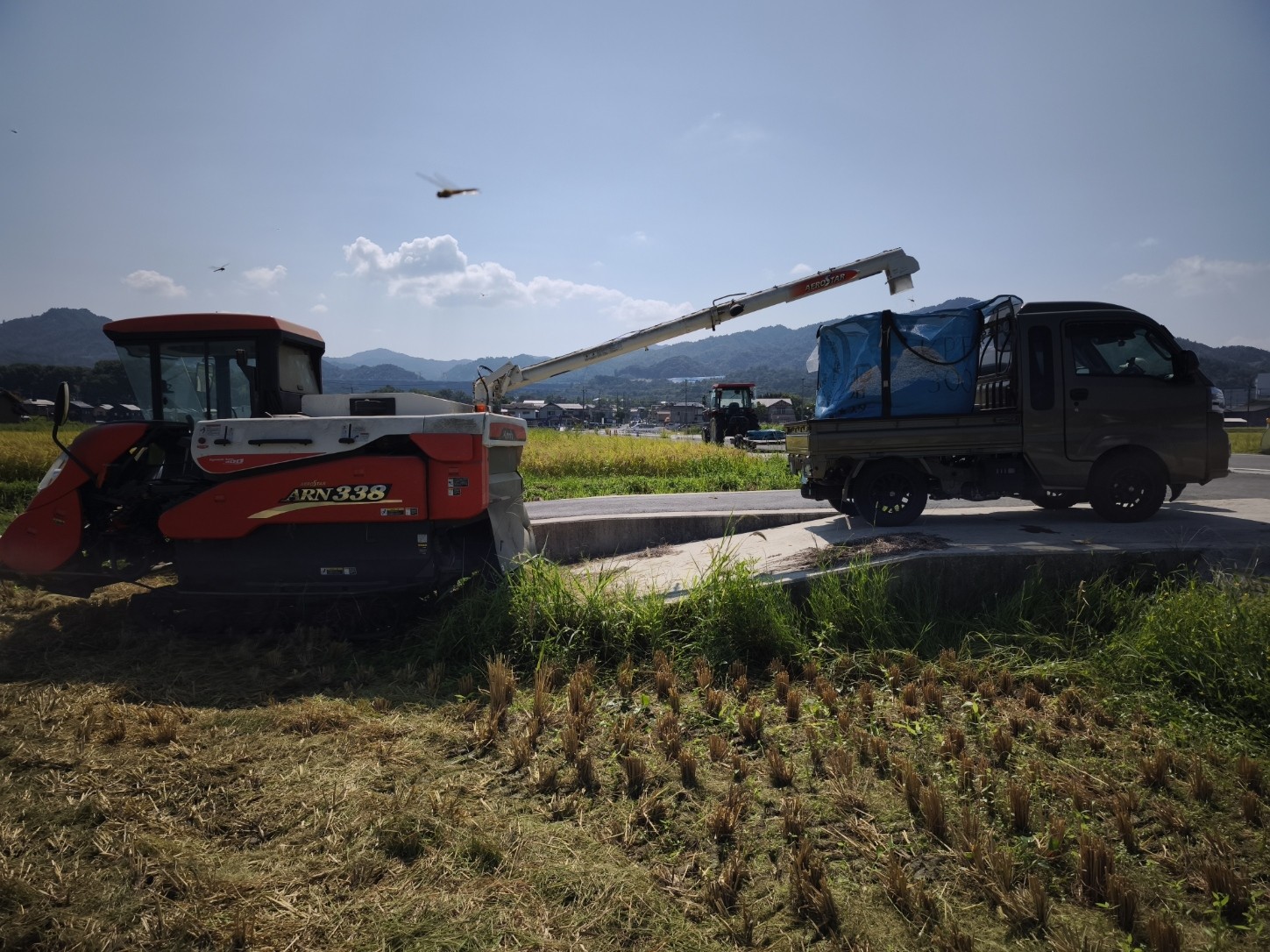 収穫開始しました！