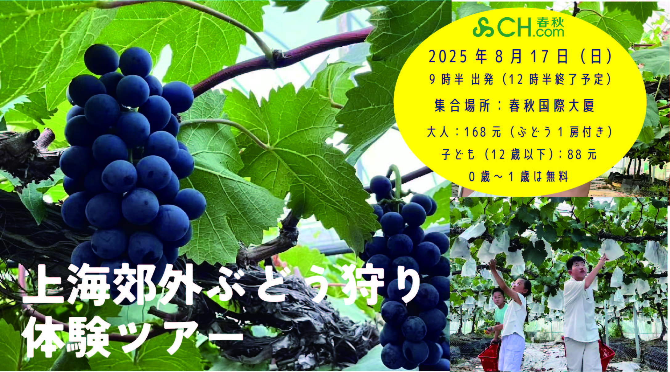 8月17日 上海郊外ぶどう狩り体験ツアー
