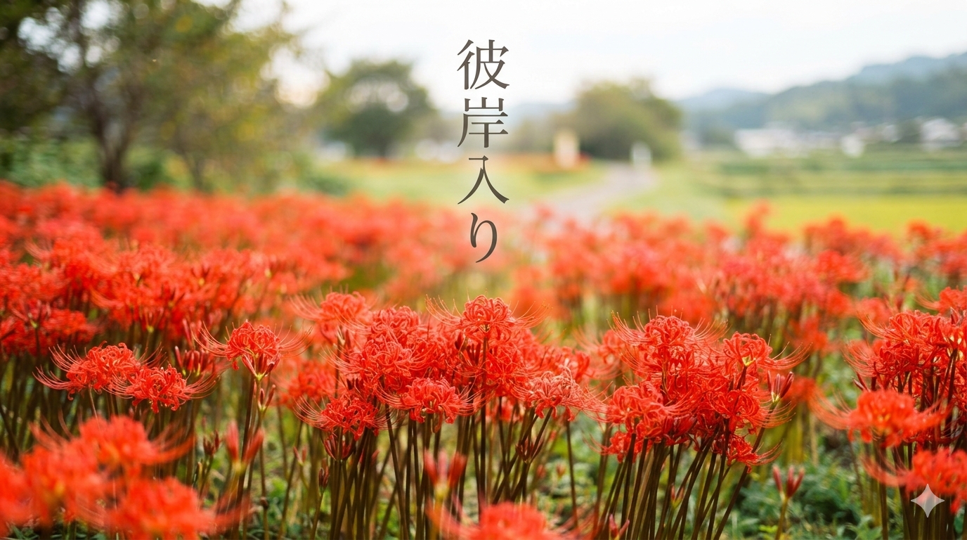 秋の彼岸入りですよ~🌼