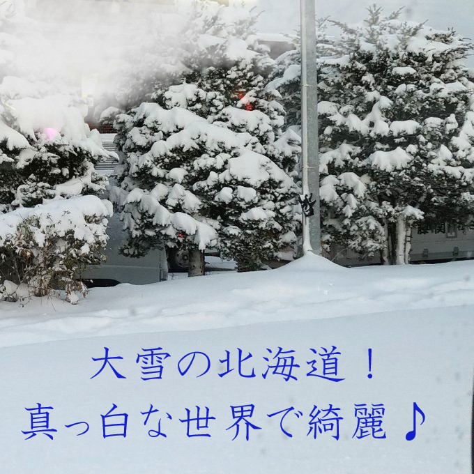 大雪だけど雪景色はキレイな北海道♪