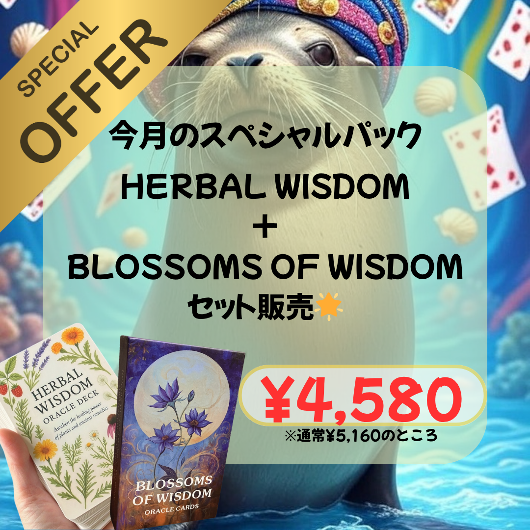 お得セット販売開始っ😆