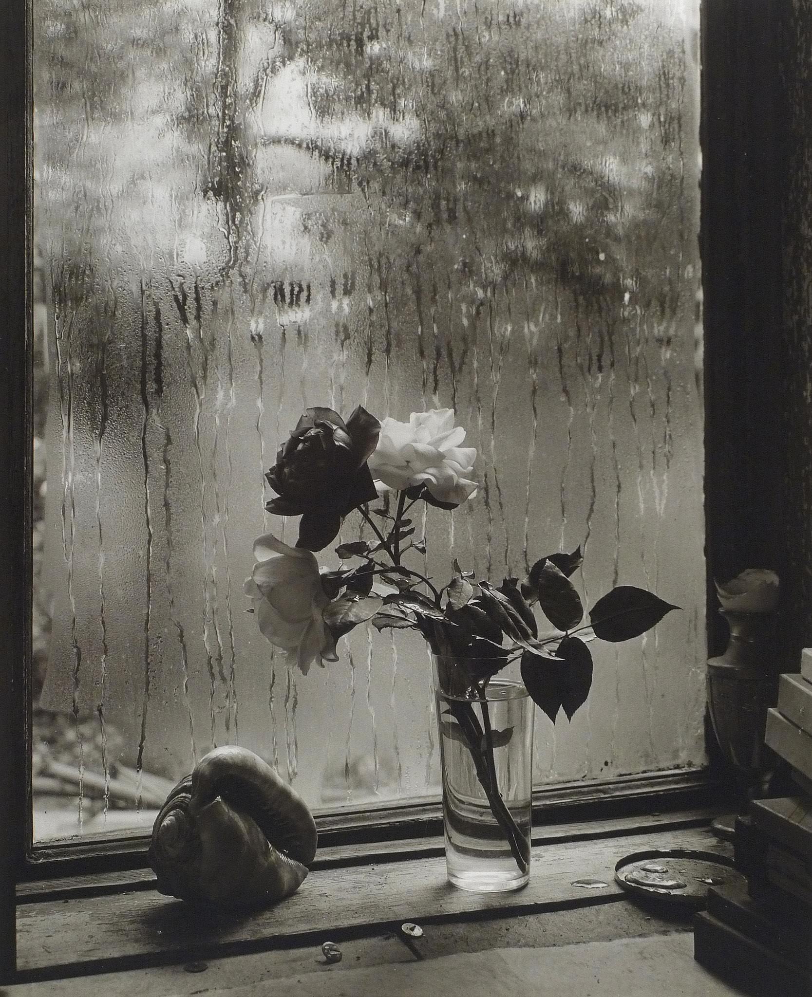 Following in the footsteps of Josef Sudek