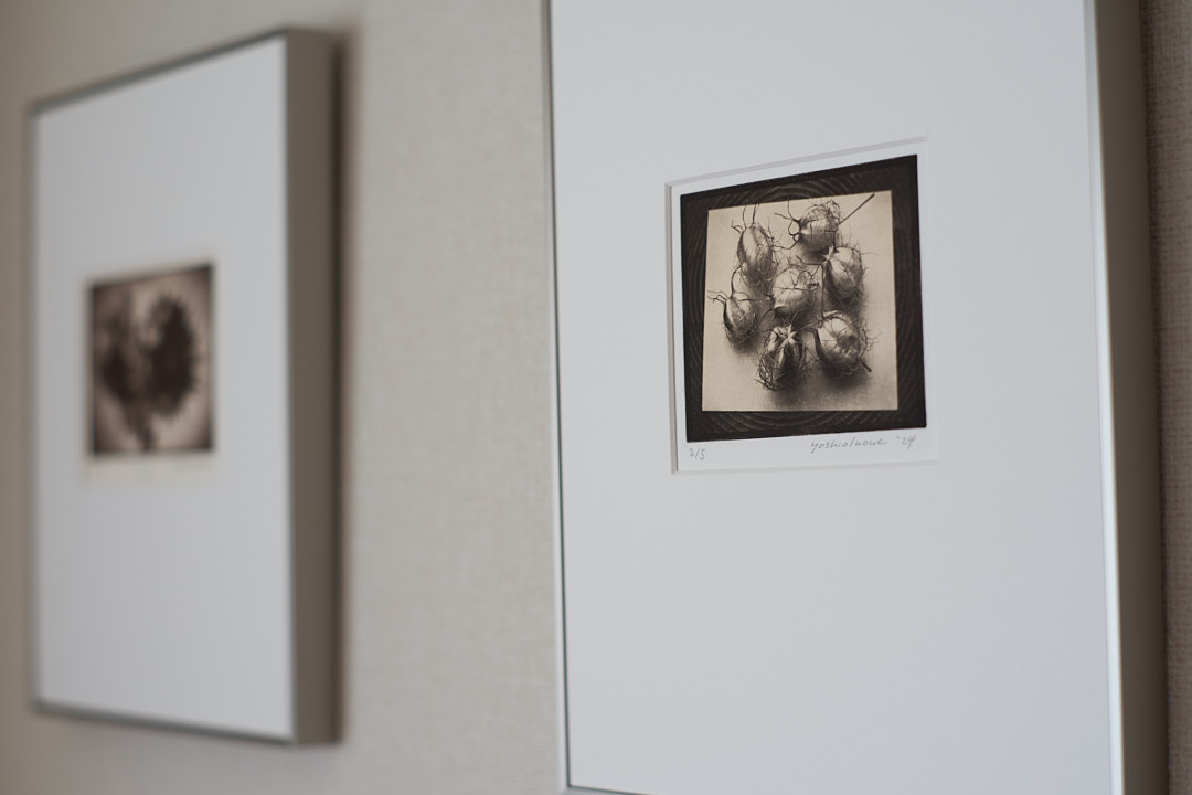 The joy of printing, collecting and appreciating p