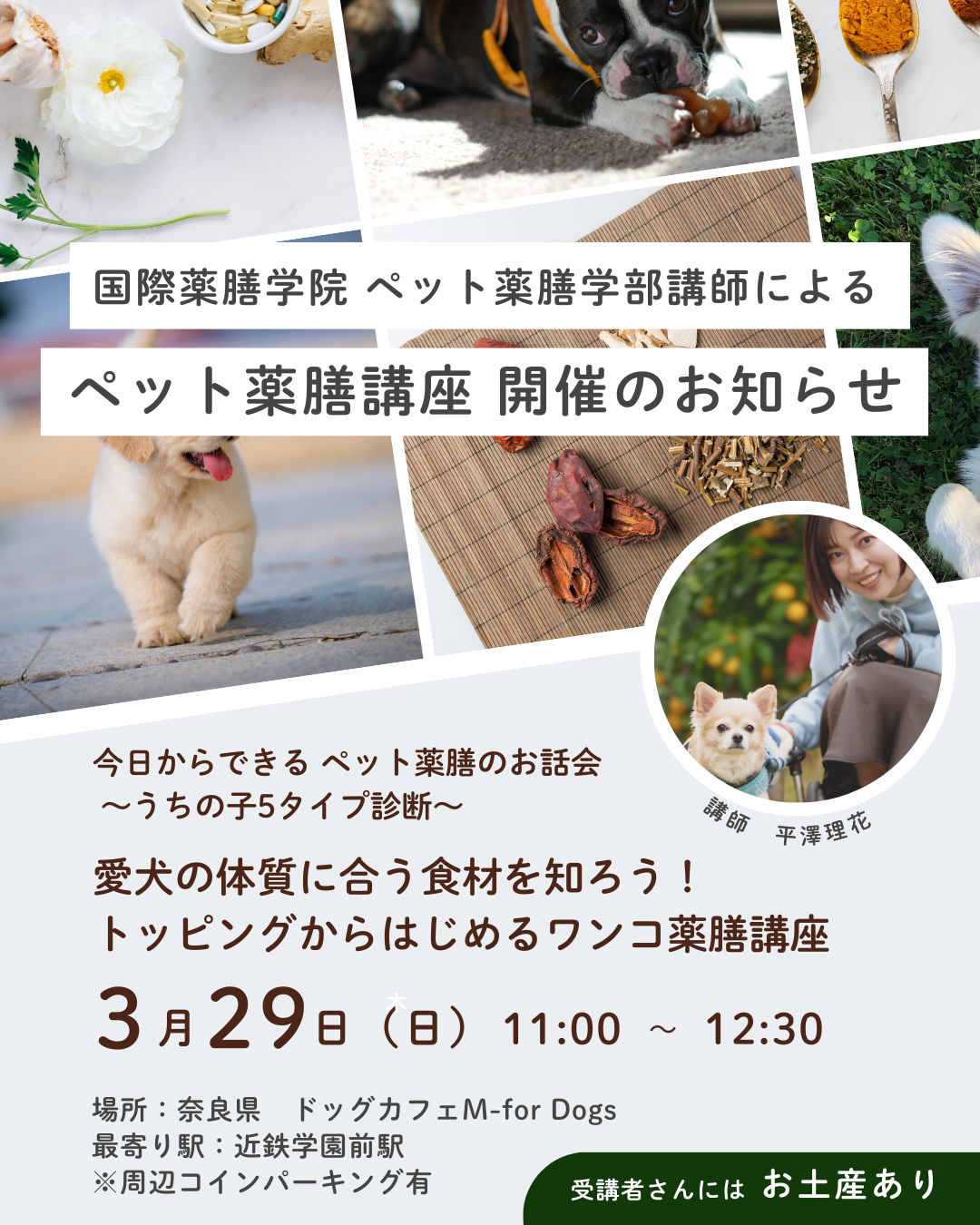 🐶 ペット薬膳講座 開催のお知らせ（定員10名）※場所：奈良県学園前M - for Dogs
