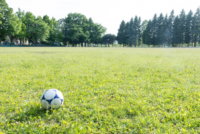 地元の熱を体感！ガイナーレ鳥取の試合を観戦してきました⚽️