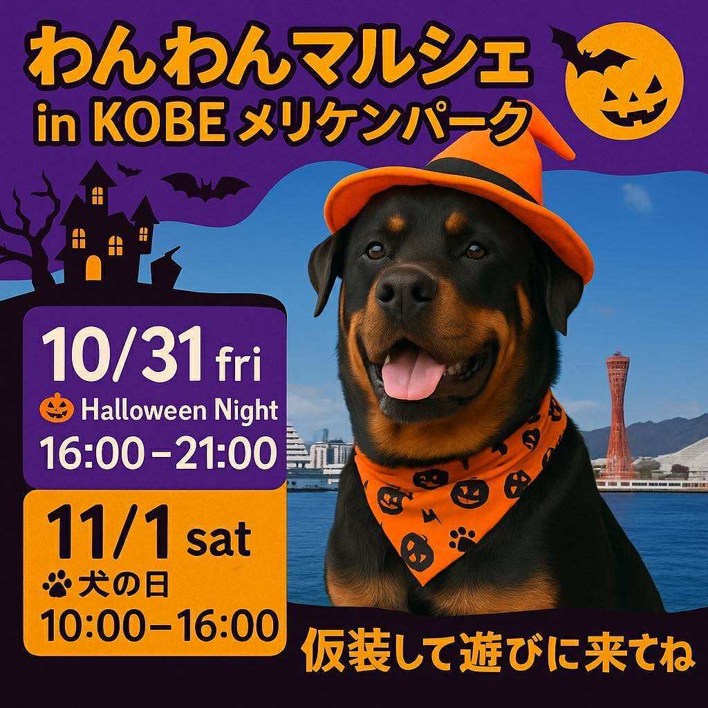 🍂11月のイベント出店情報🐾
