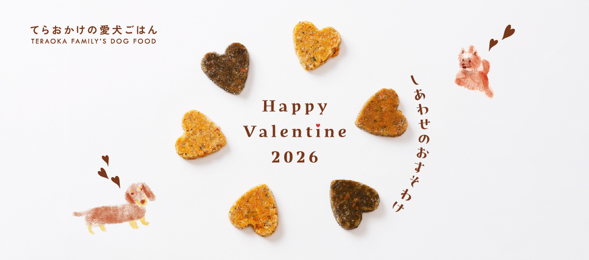 てらおかけの愛犬ごはんから、ささやかなバレンタインのおすそわけ🐶