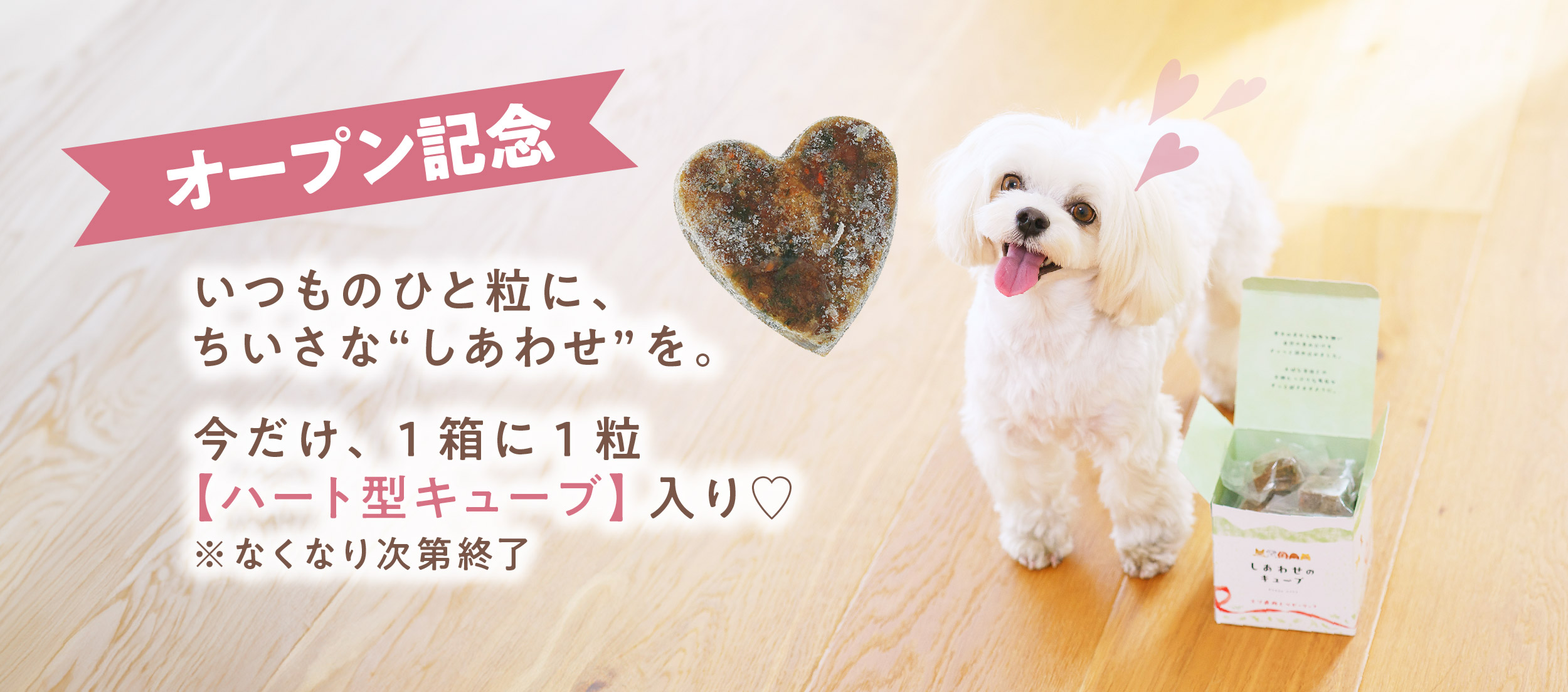 本日ネットショップOPEN！